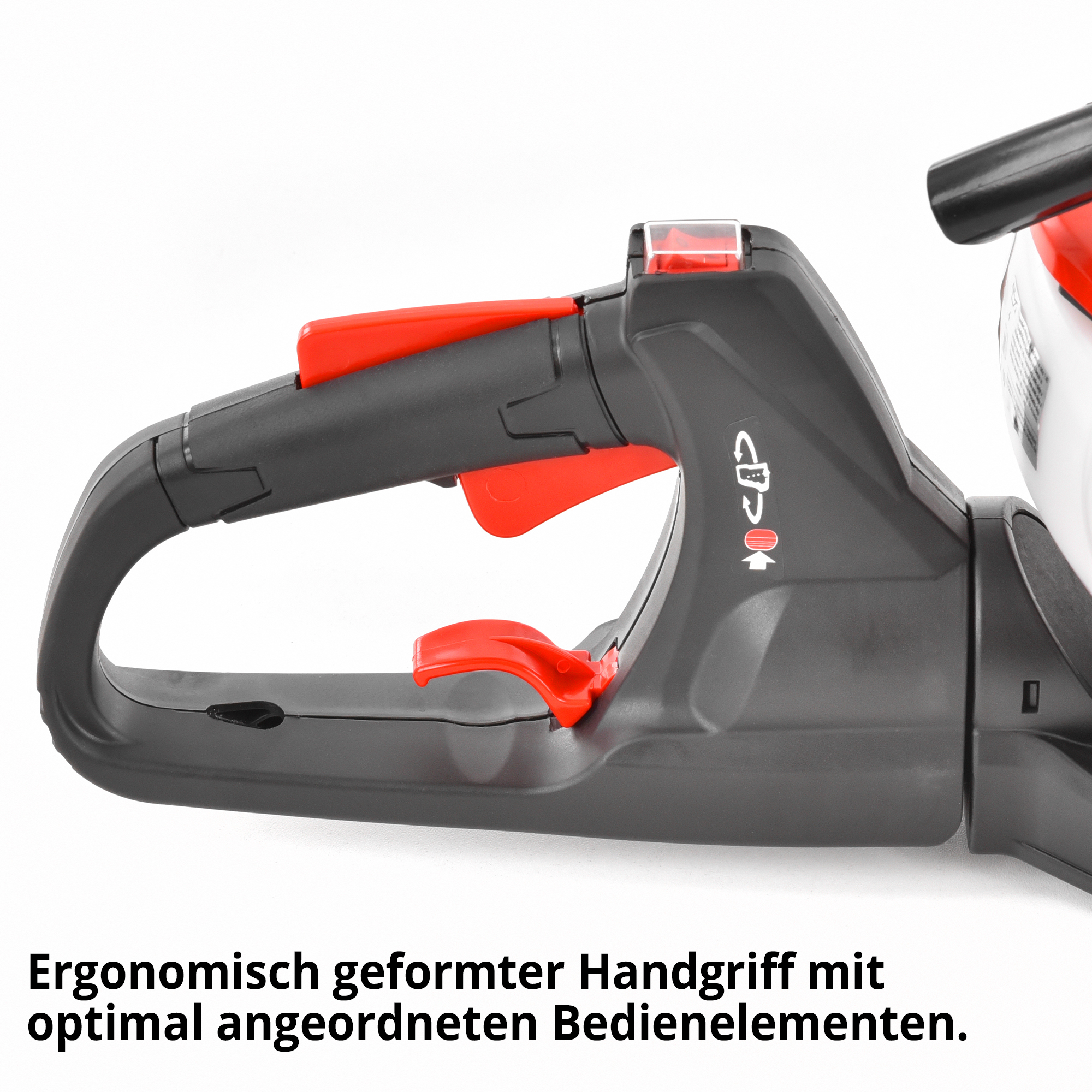 558-galeriebild_5