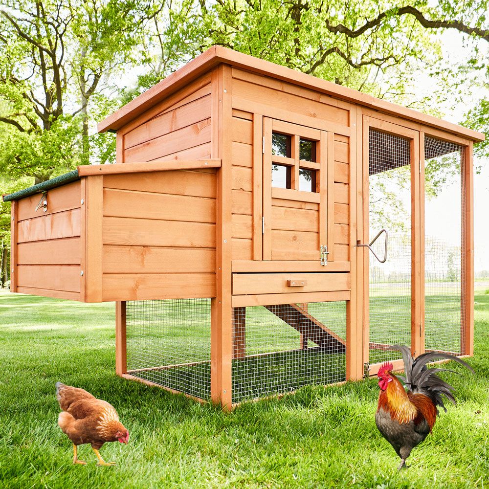 zooprinz Hühnervoliere Modell XXL aus Massivholz