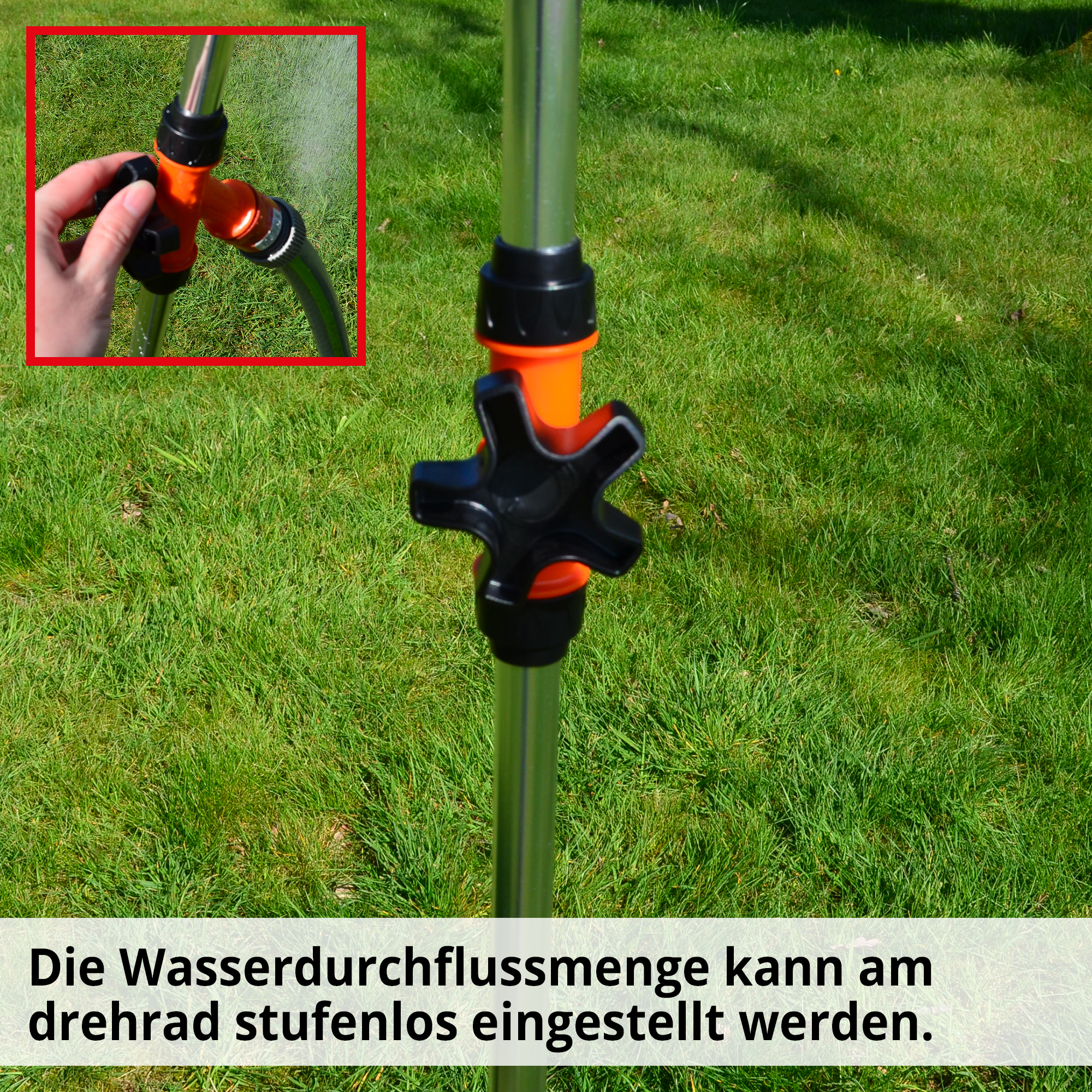 2466-galeriebild_5 2466-galeriebild_5