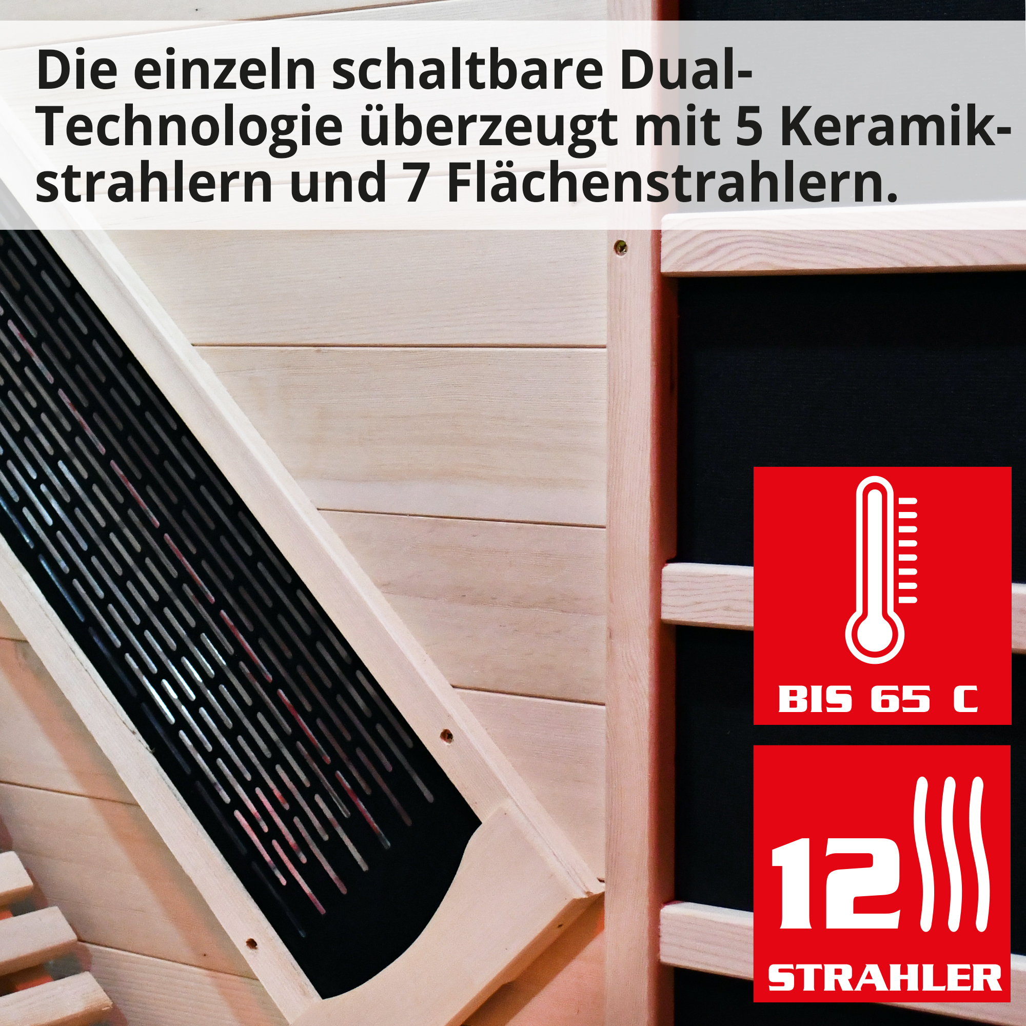 Hecht-Sauna mit 5 Keramikstrahlern und 7 Flächenstrahlern  (Dieses Bild wurde mit Hilfe von KI generiert.)
