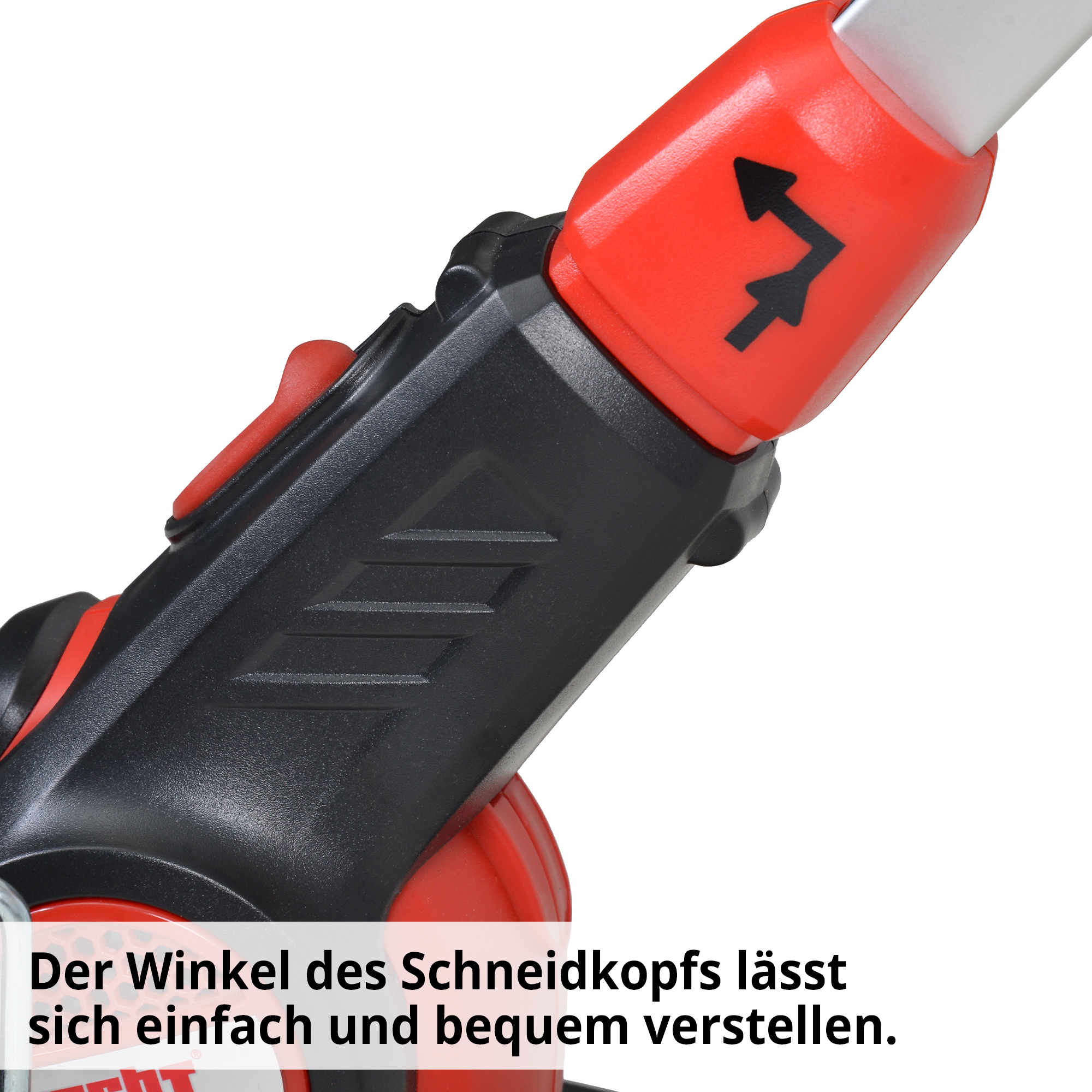 1133-galeriebild_8