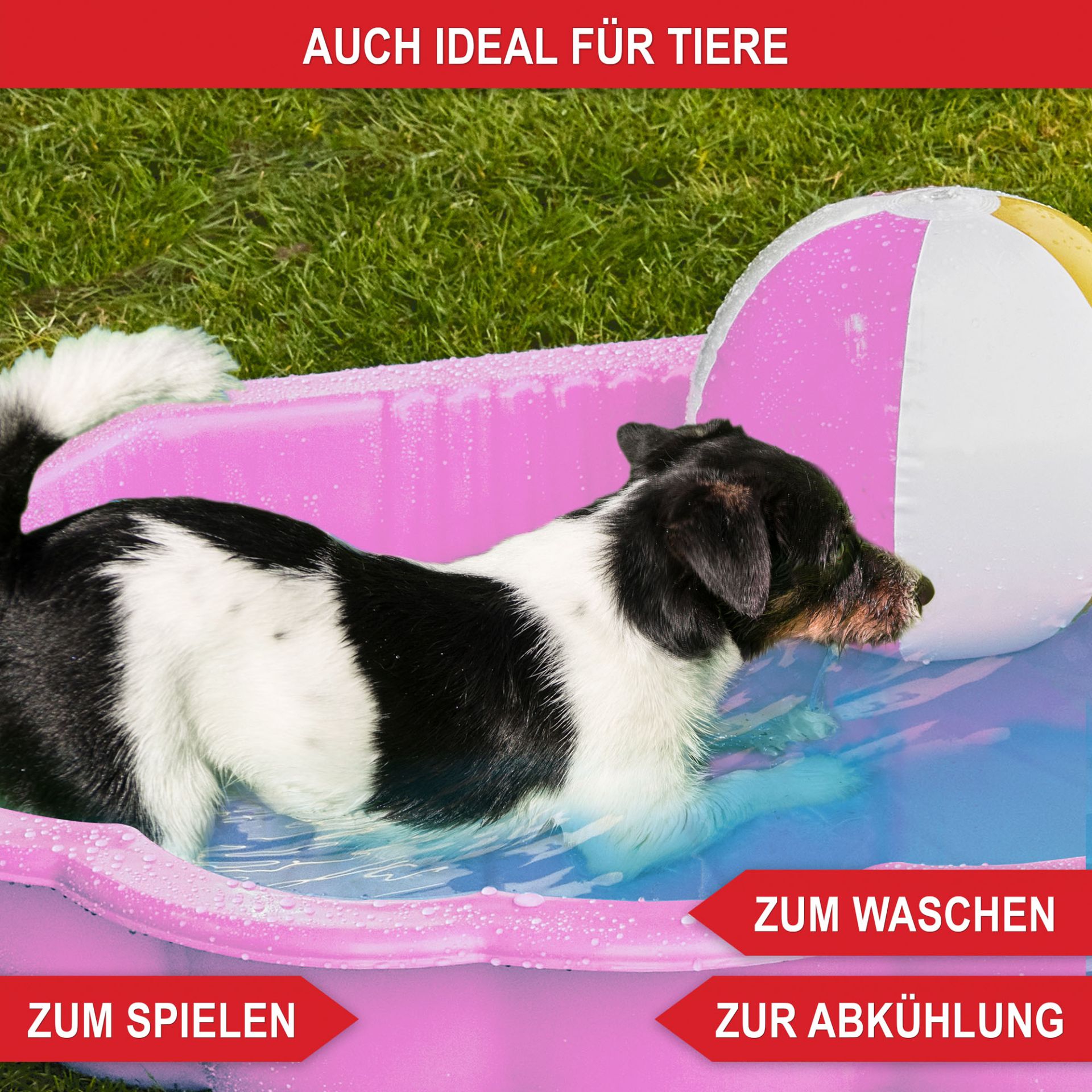 Sandkasten Muschel rosa - Auch ideal für Tiere, zum spielen, zum waschen, zur Abkühlung