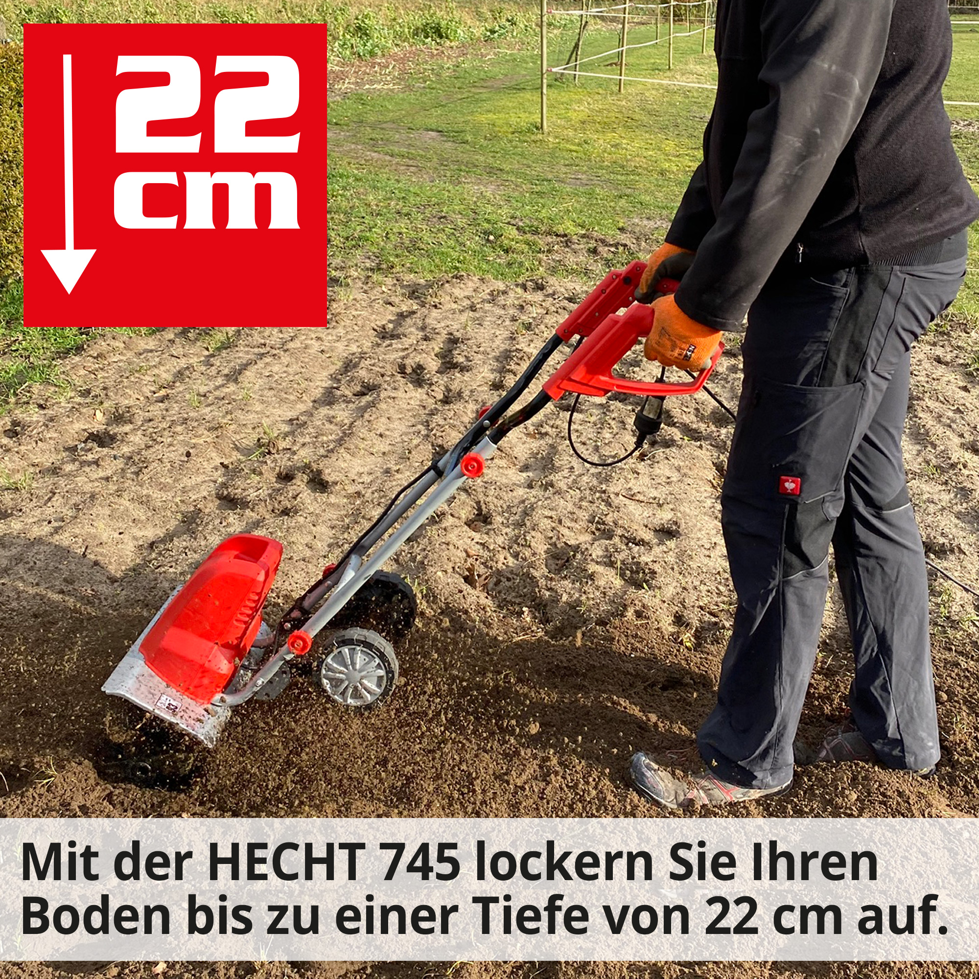 2459-galeriebild_4
