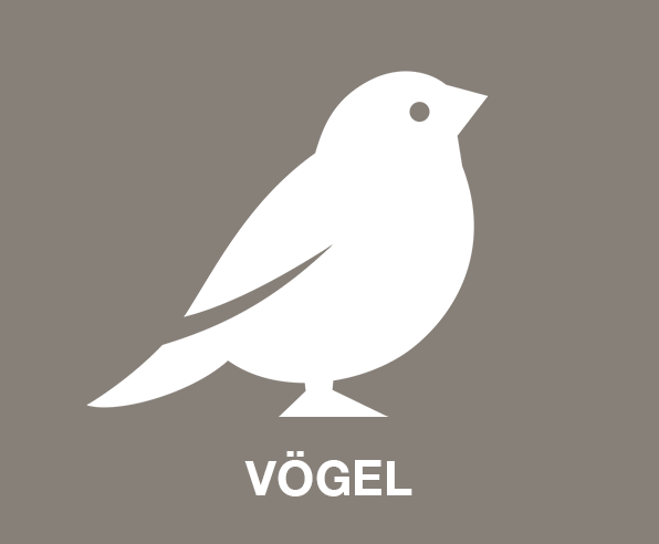 Vögel Tierausstattung