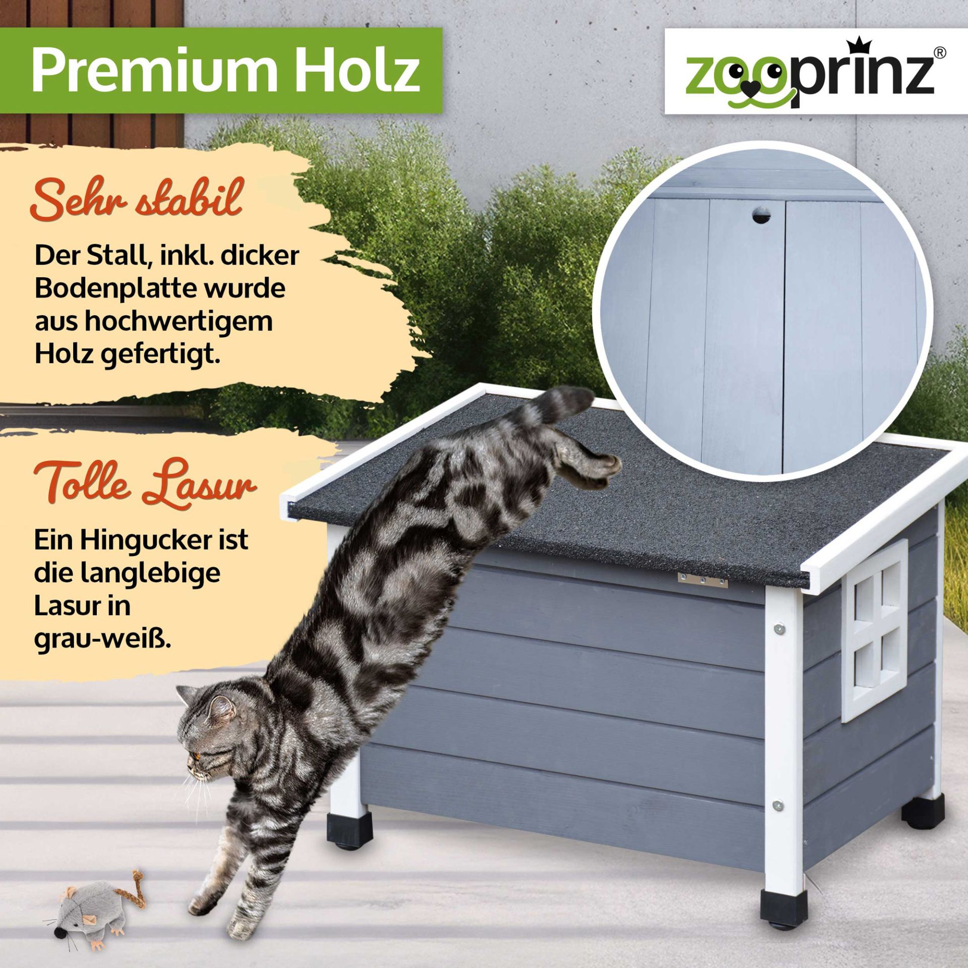Katzen Villa Felix; Unbehandelt und stabil