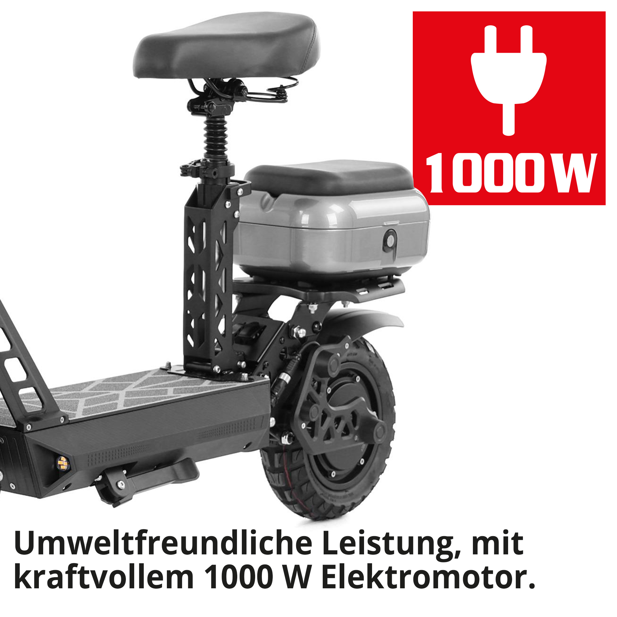 Elektro Scooter HECHT mit 1000 Watt