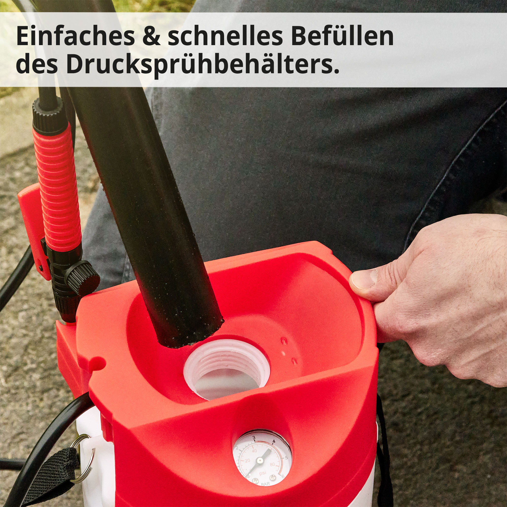 819-galeriebild_4