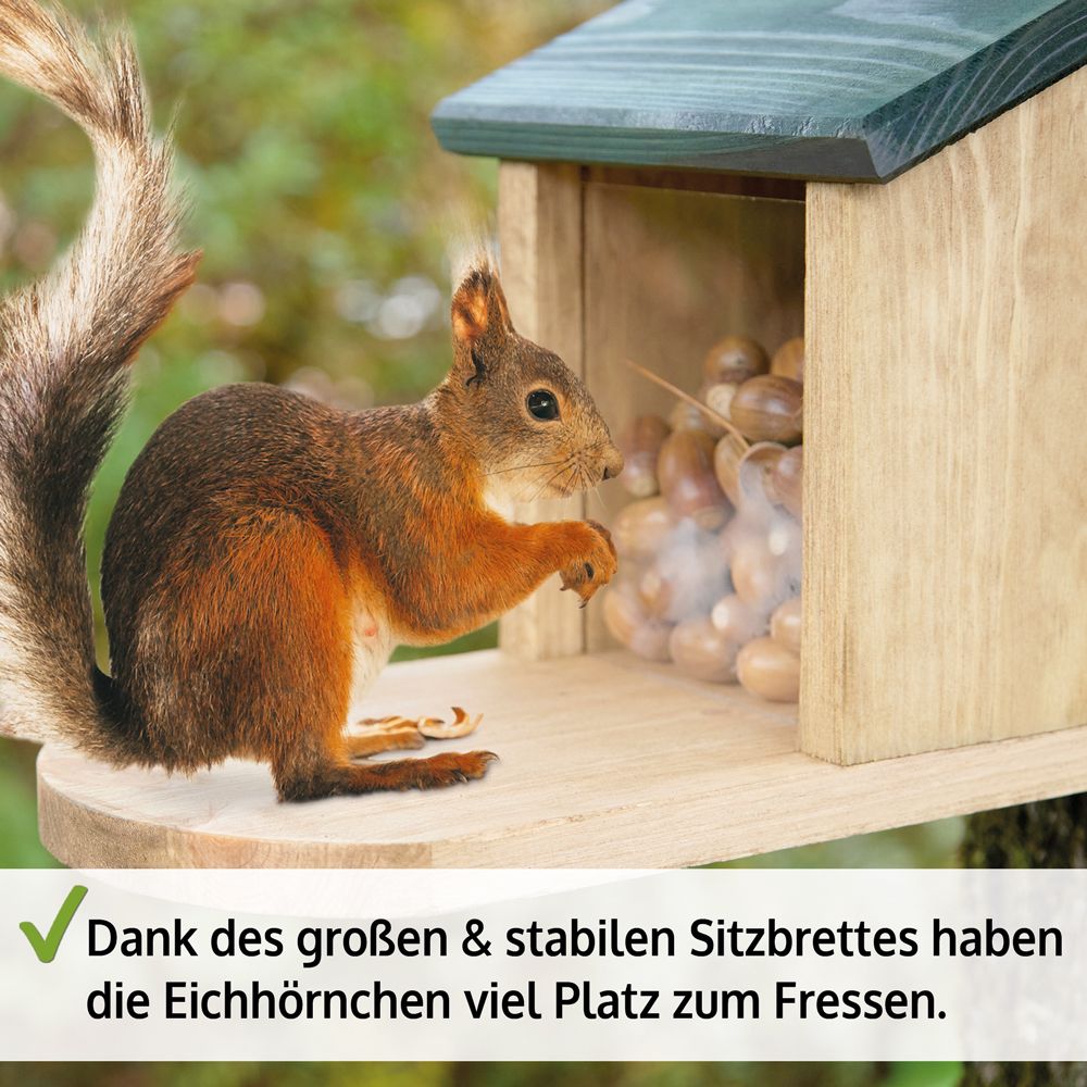 Eichhörnchen Futterstation; Großes Sitzbrett für die Eichhörnchen