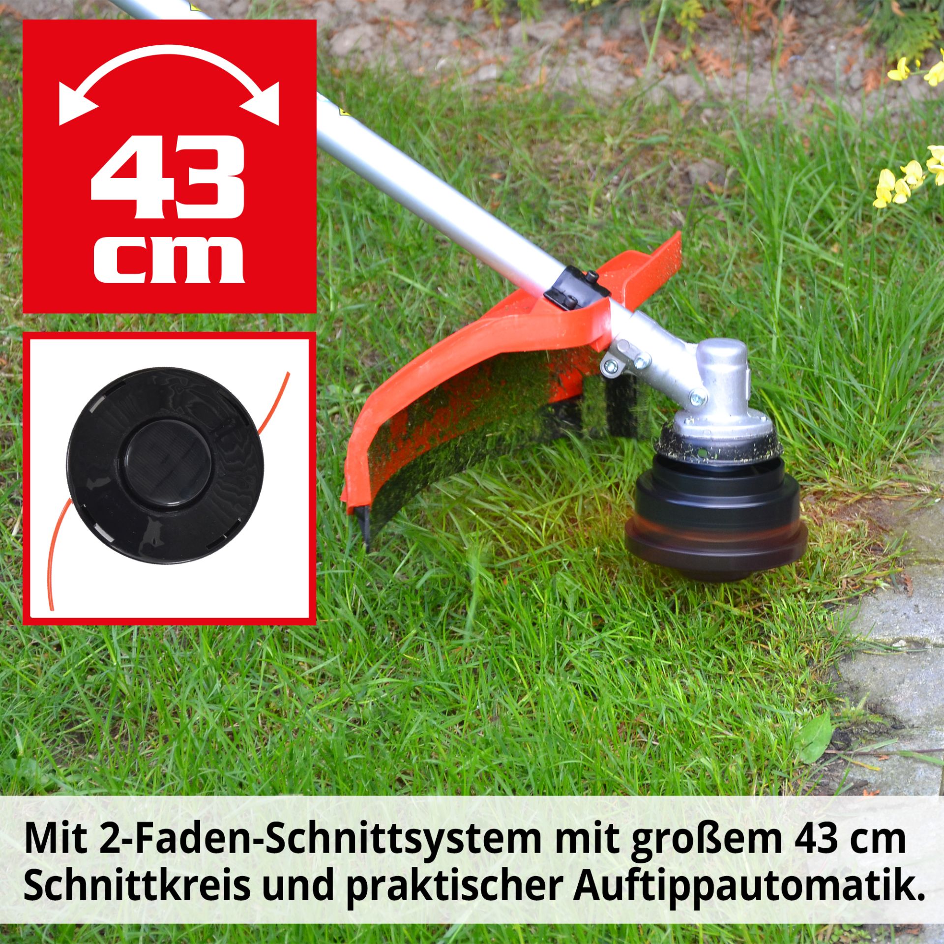 HECHT Benzin-Freischneider 145 Benzin-Freischneider mit großem Schnittkreis