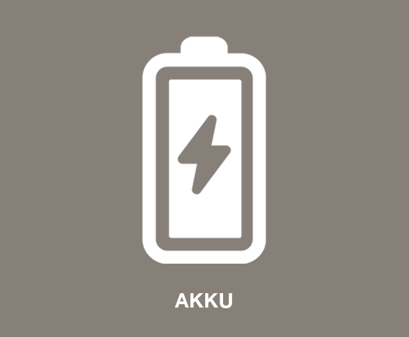 Akku Laubsauger
