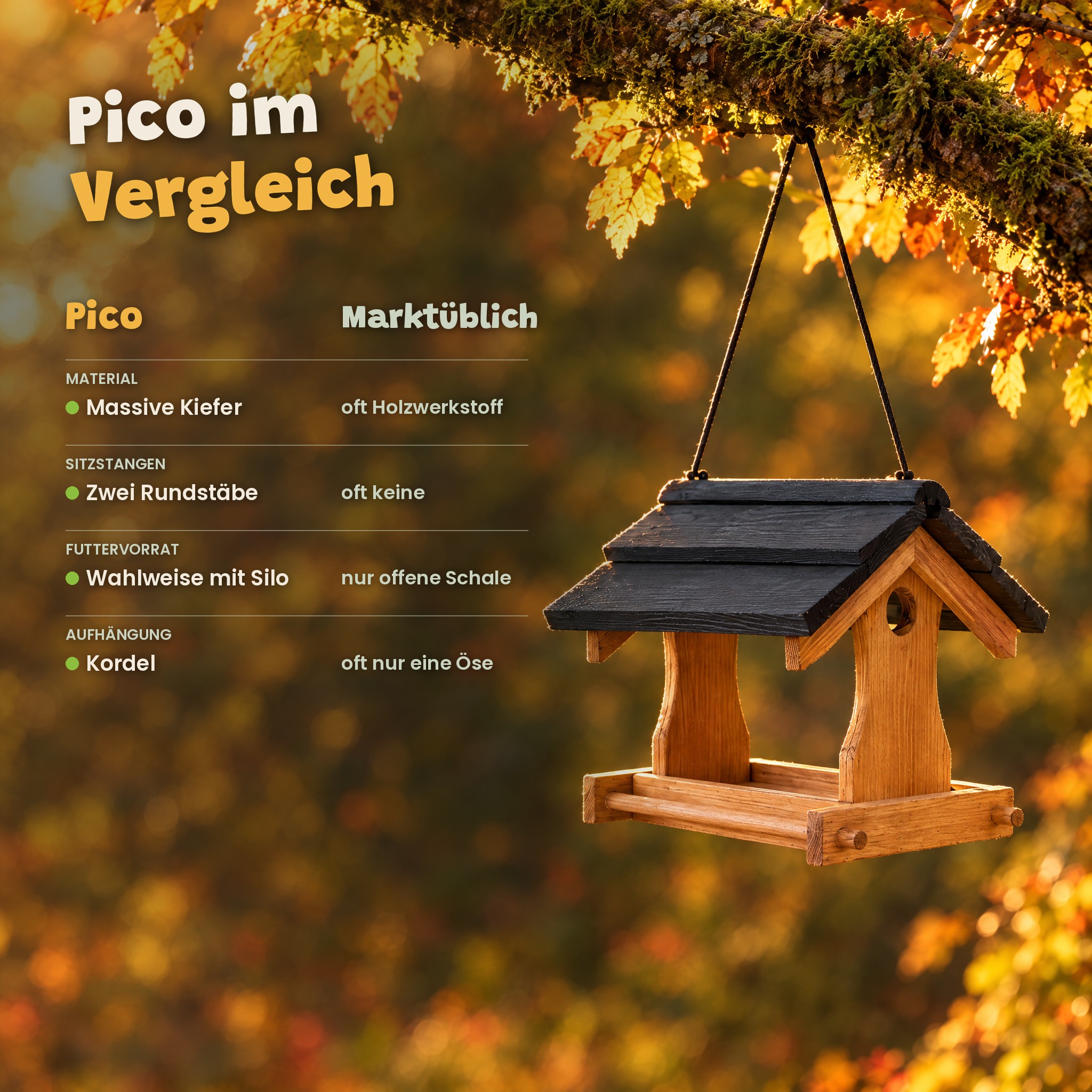 zooprinz Pico im Vergleich: Massive Kiefer, Sitzstangen und feste Kordel (Dieses Bild wurde mit Hilfe von KI generiert.)