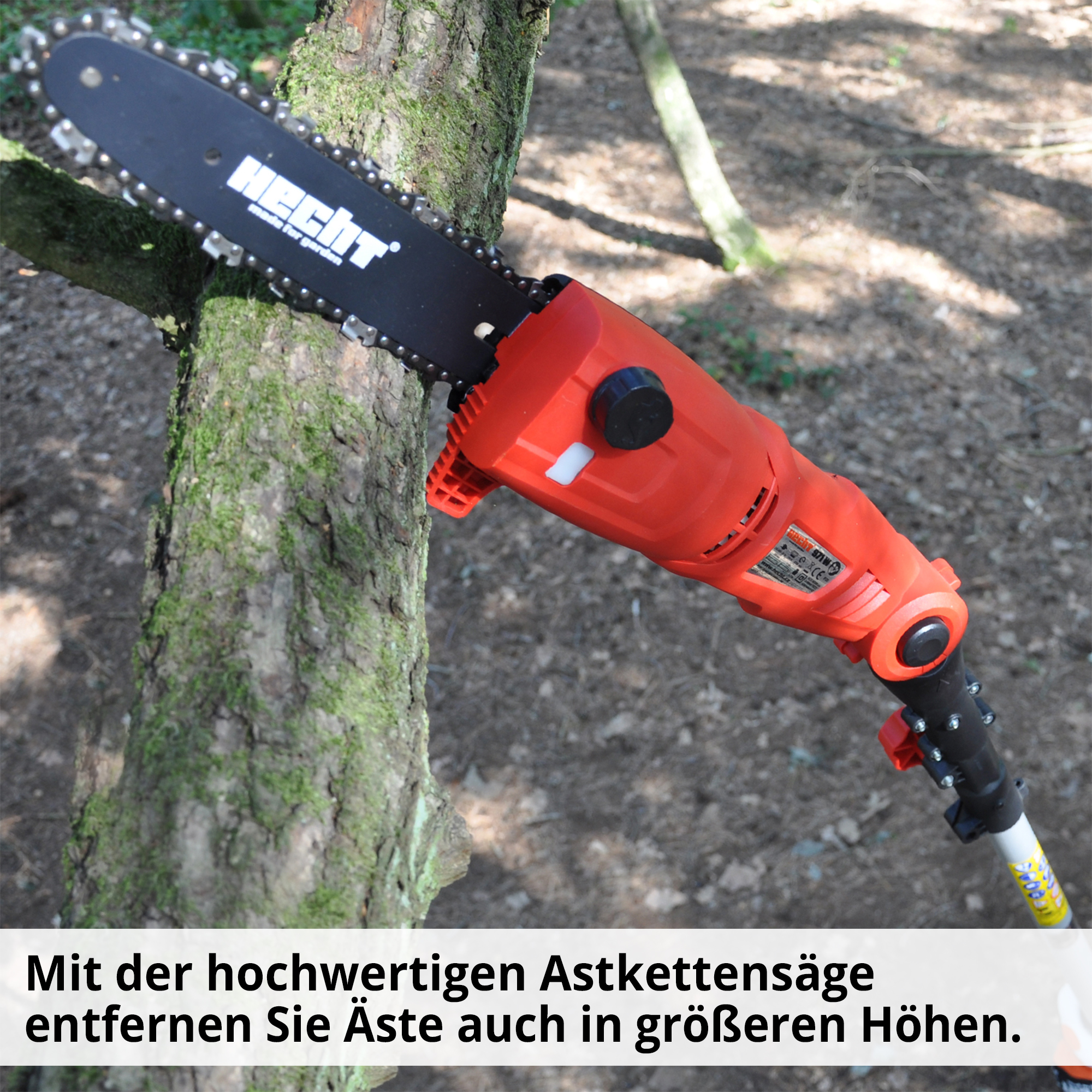 Hochentaster; Für die Entfernung von Ästen in größerer Höhe
