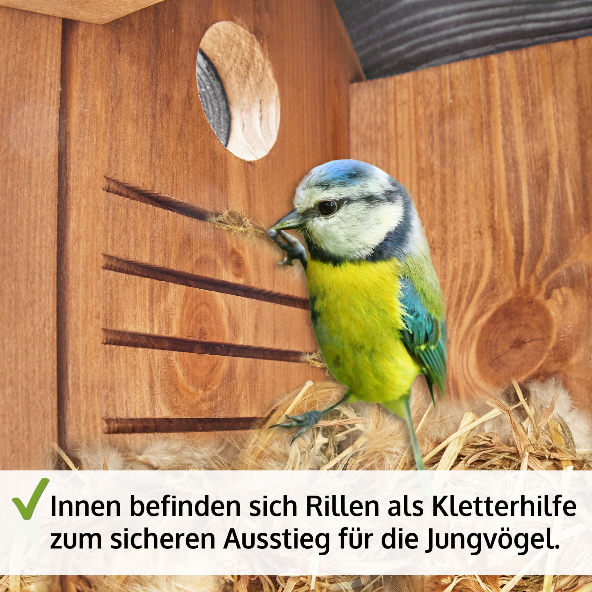 Nistkasten; Rillen von innen als Kletterhilfe