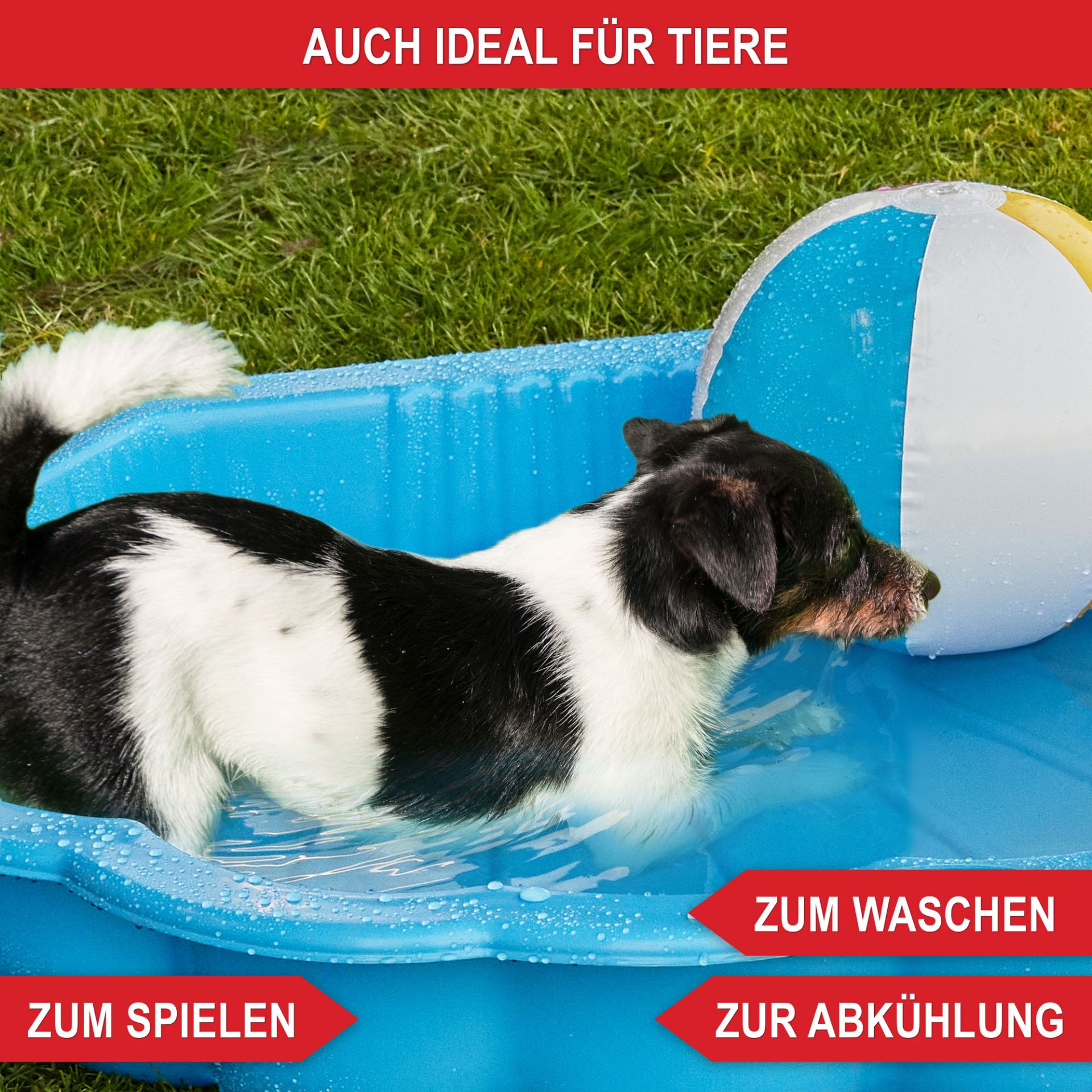 Sandkasten Muschel blau - Auch ideal für Tiere, zum spielen, zum waschen, zur Abkühlung