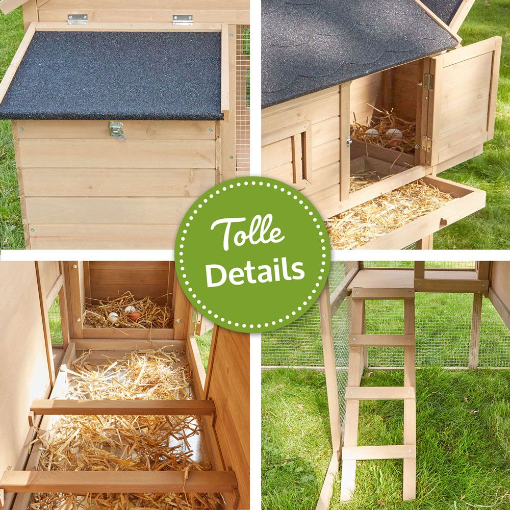 Hühnervoliere Happy Huhn Set; Details wie Sitzstangen und leiter