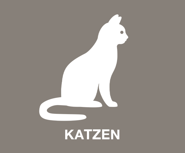 Katzen Tierausstattung