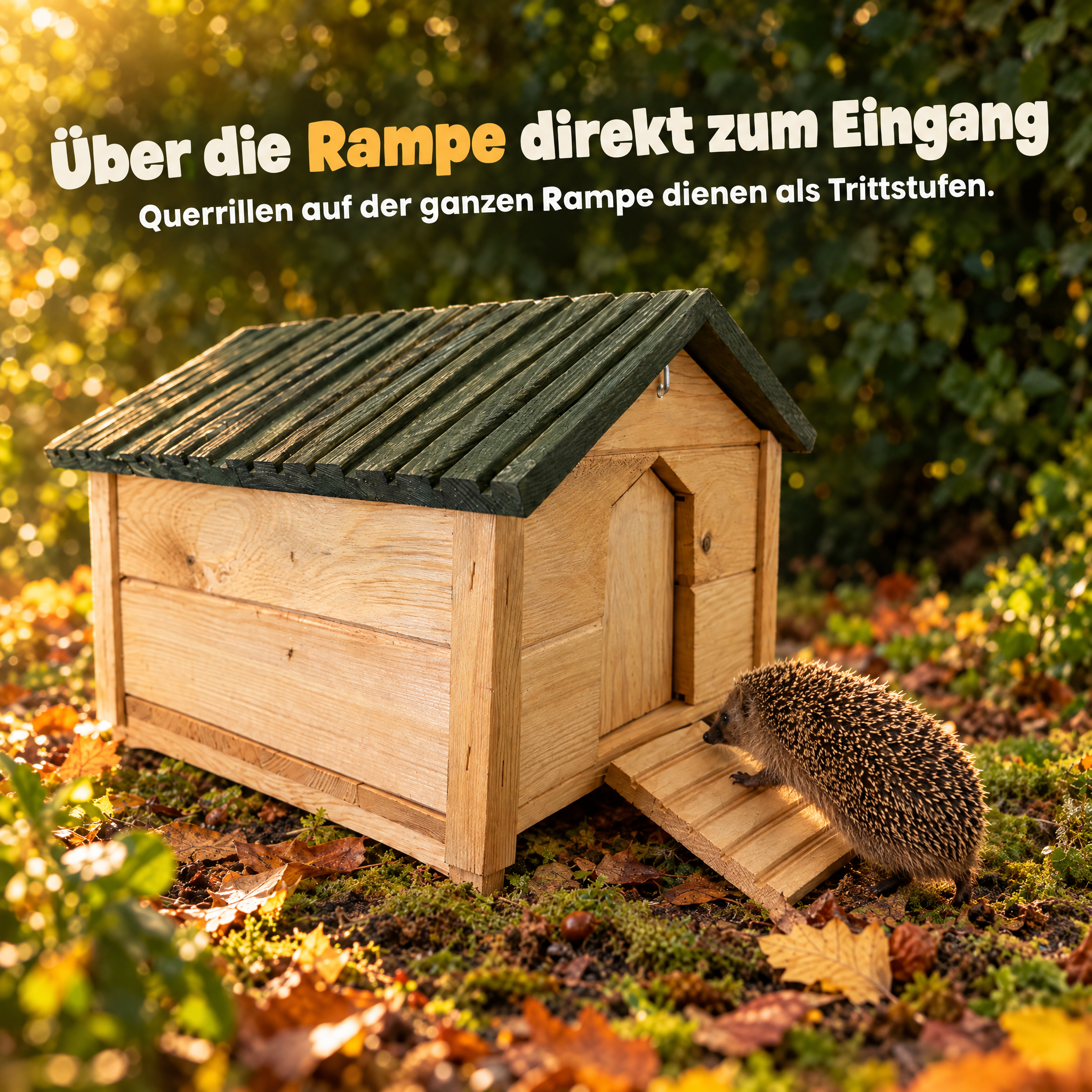 Unterschlupf Rampe: Querrillen dienen als sichere Trittstufen (Dieses Bild wurde mit Hilfe von KI generiert.)