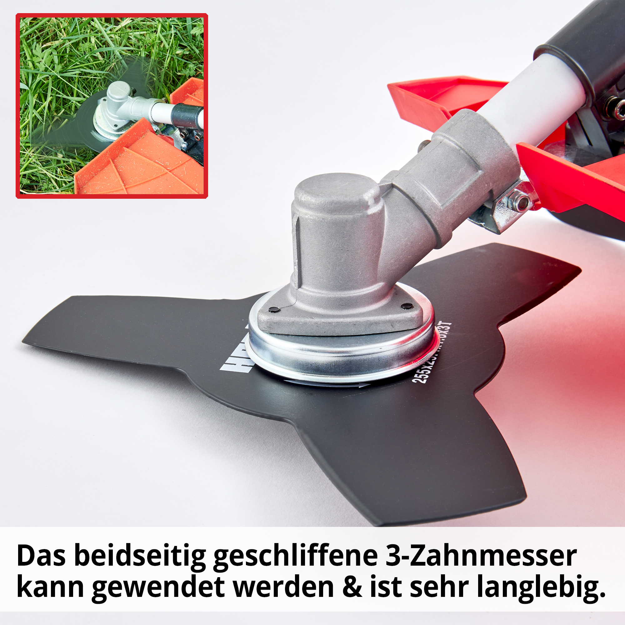 450-galeriebild_3