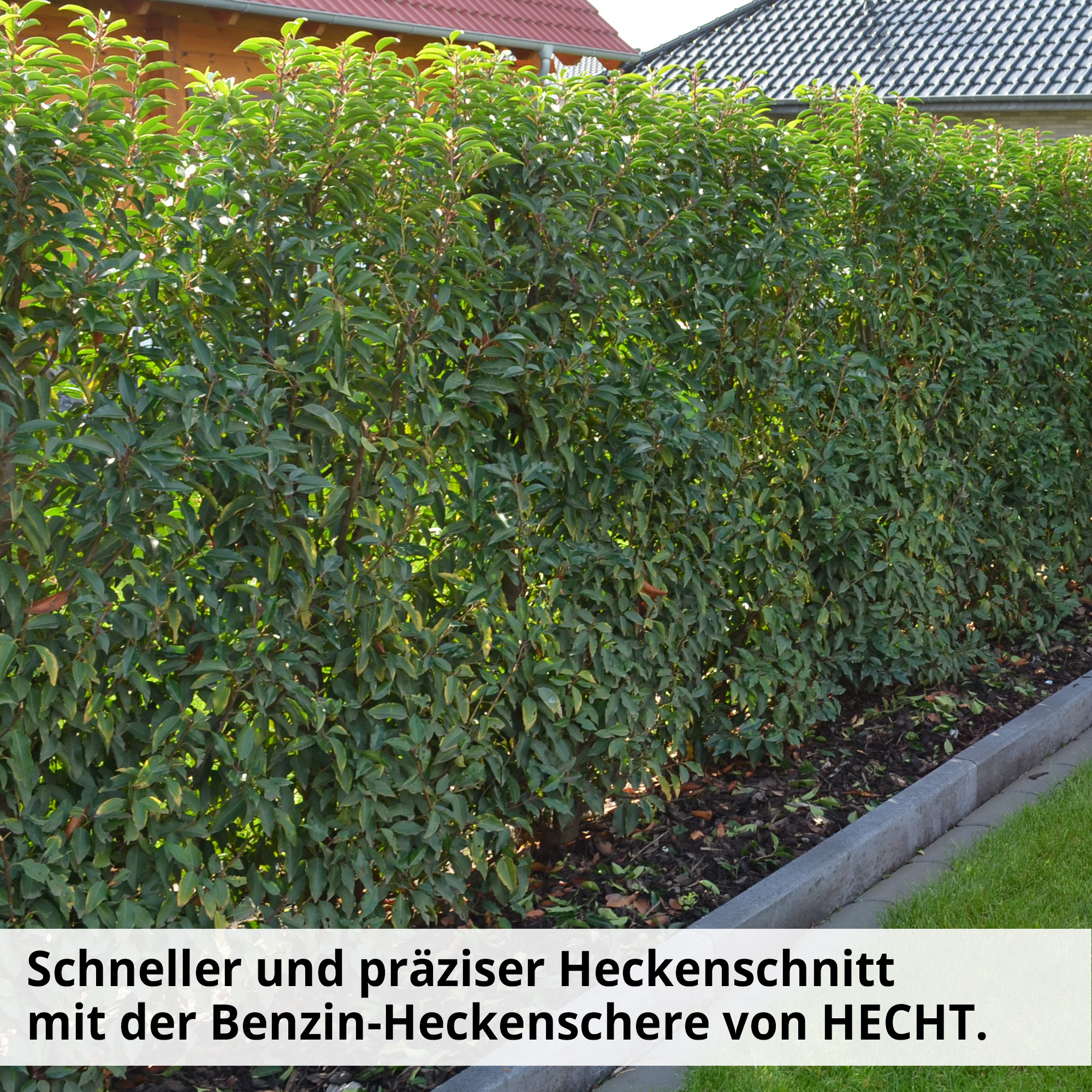 2543-galeriebild_10