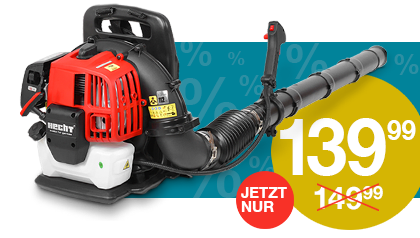 Laubbläser Benzin