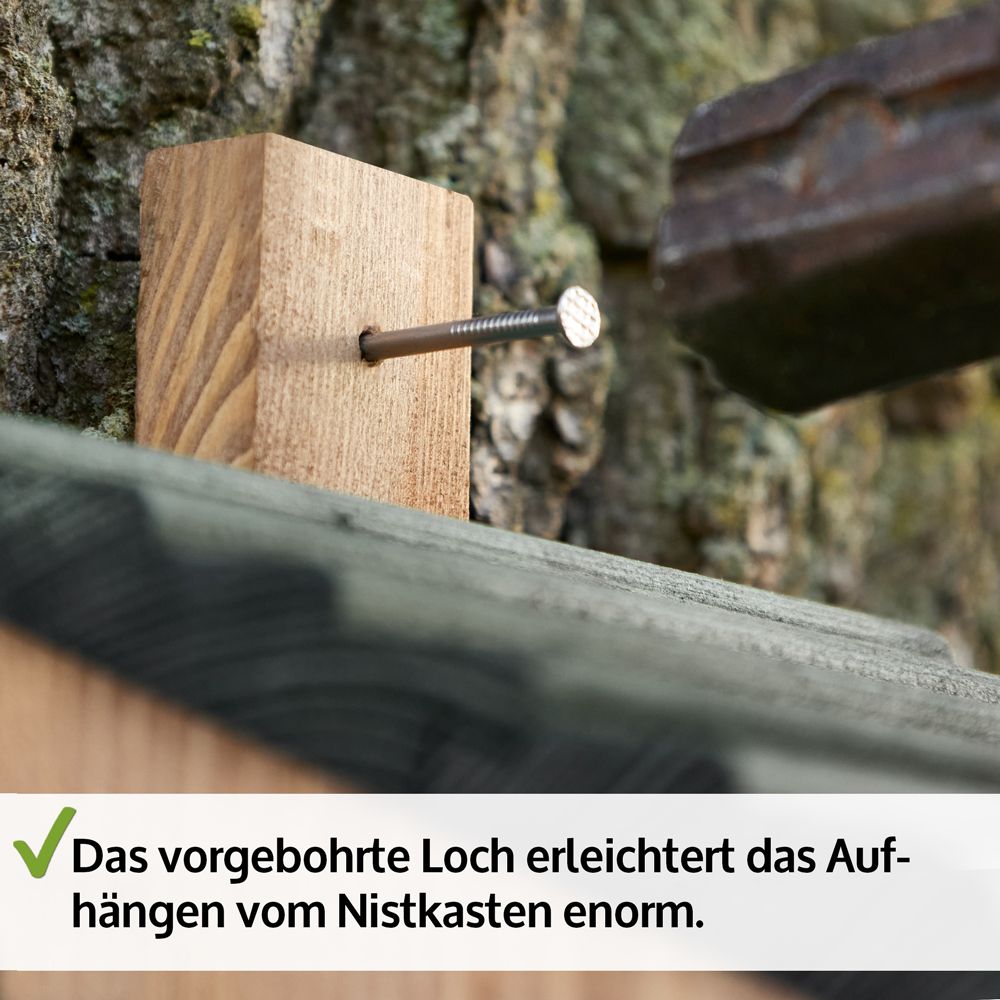 Nistkasten; Vorgebohrtes Loch zum Aufhängen