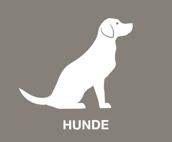 Hunde Tierausstattung