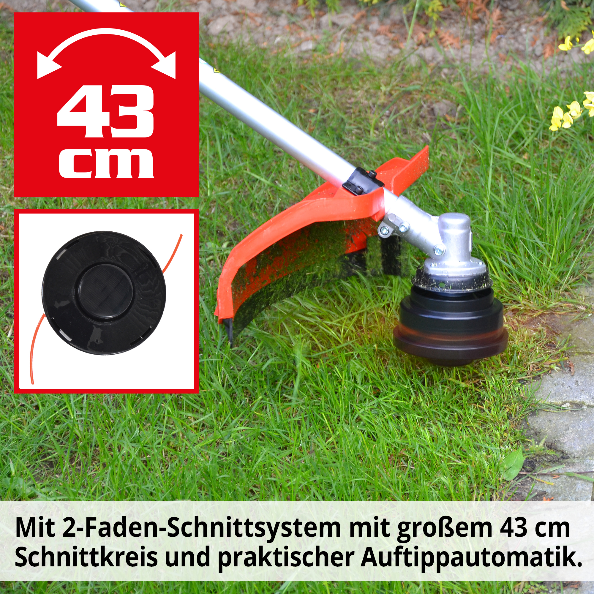 293-galeriebild_3