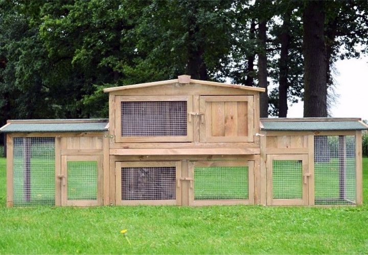Zooprinz Hasenstall 011 - Dr. Hase