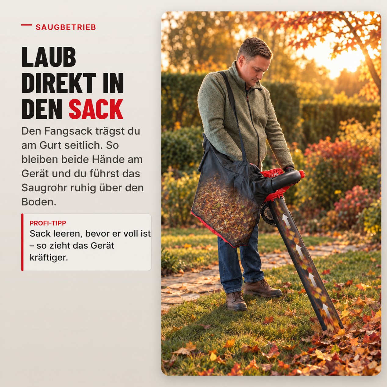 Saugbetrieb: Laub direkt in den 50-Liter-Fangsack mit dem ONBEST Laubsauger LV850 (Dieses Bild wurde mit Hilfe von KI generiert.)