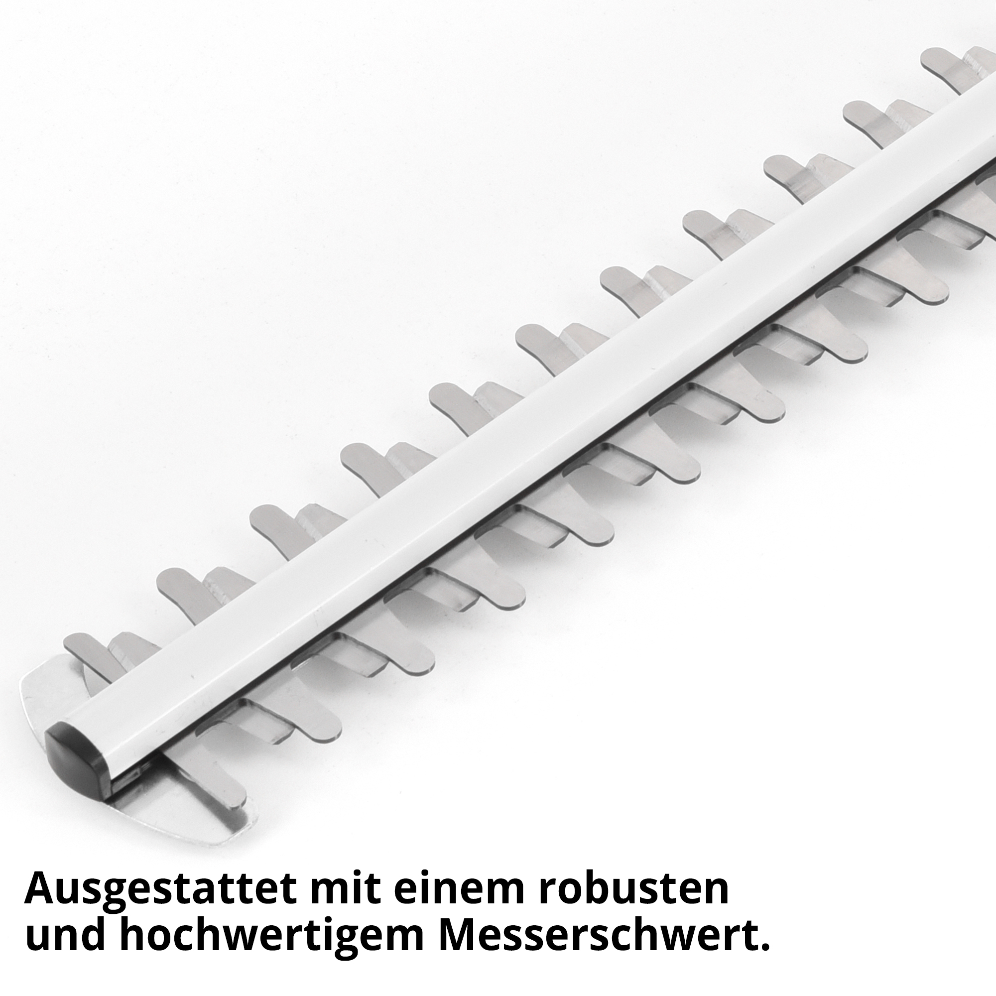 1775-galeriebild_3
