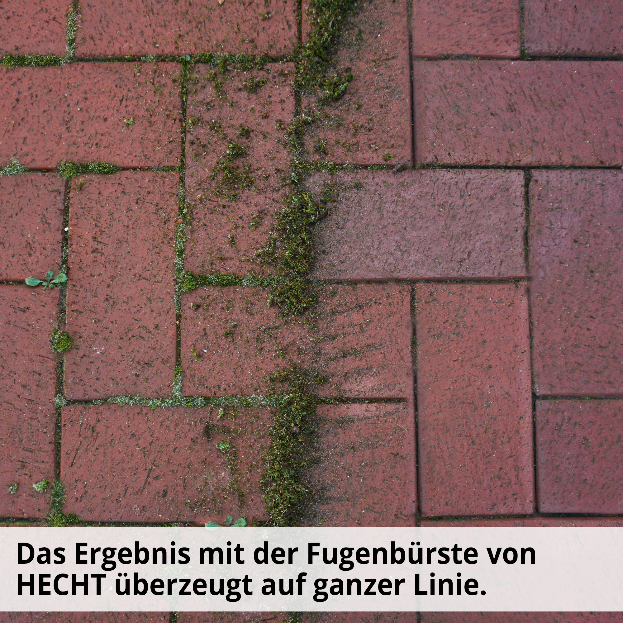 HECHT 444 Fugenbürste; Das Ergebnis mit der Fugenbürste überzeugt auf ganzer Linie 