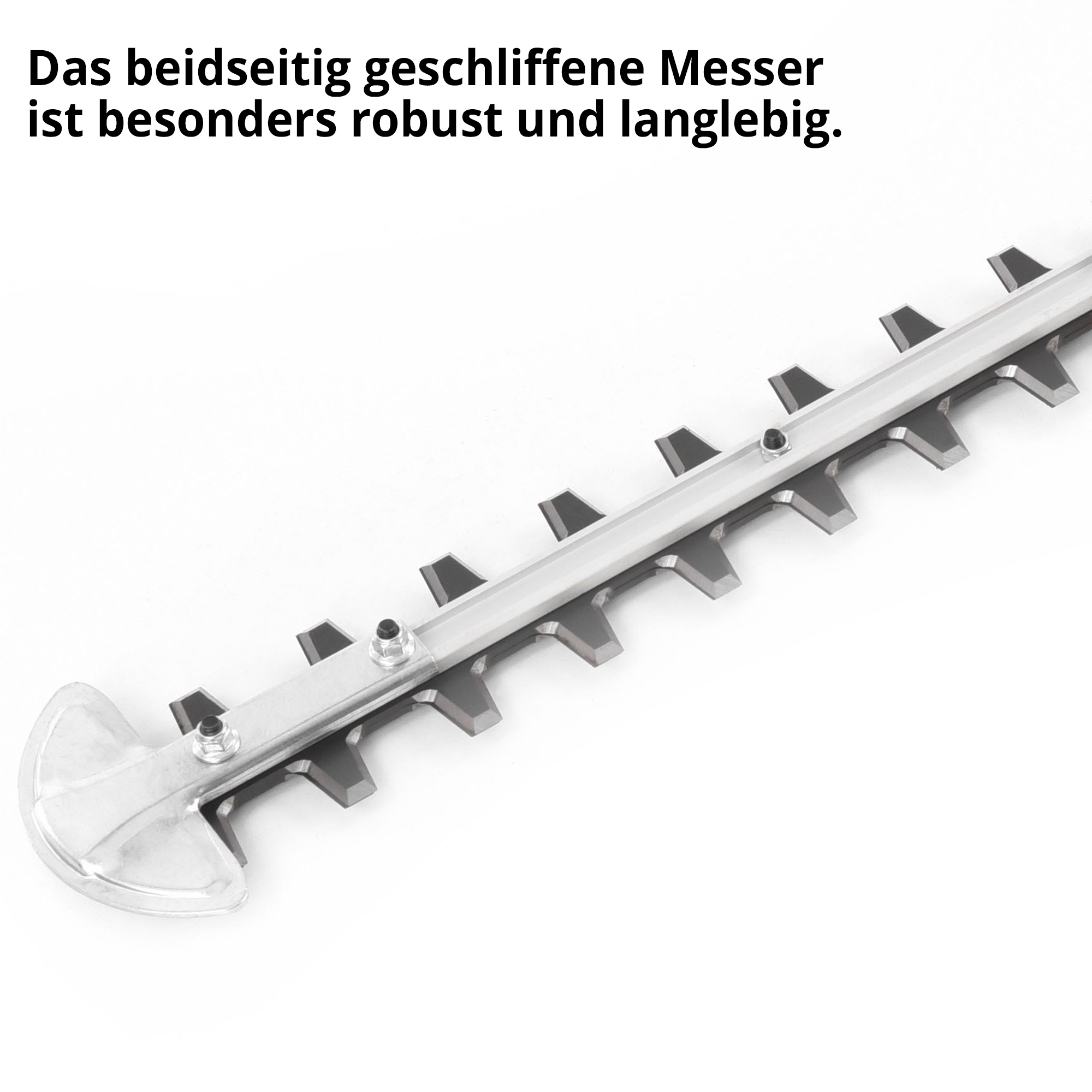 558-galeriebild_3