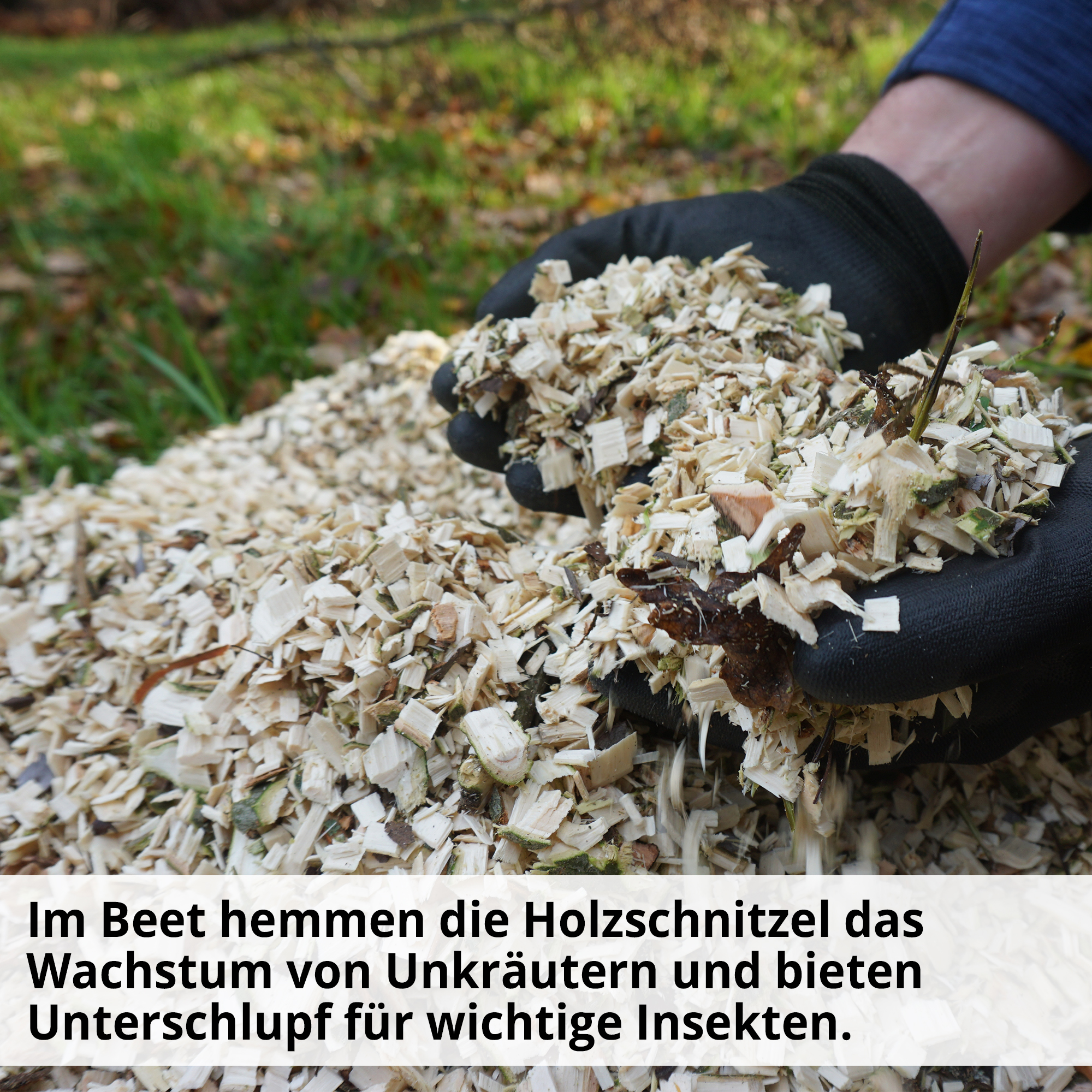 Gartenhäcksler; Holzschnitzel hemmen das Wachstum von Unkräutern und bieten einen Unterschlupf für Insekten