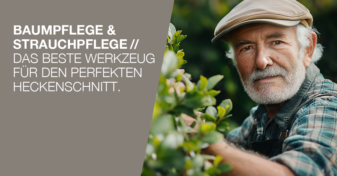 Baum- und Strauchpflege