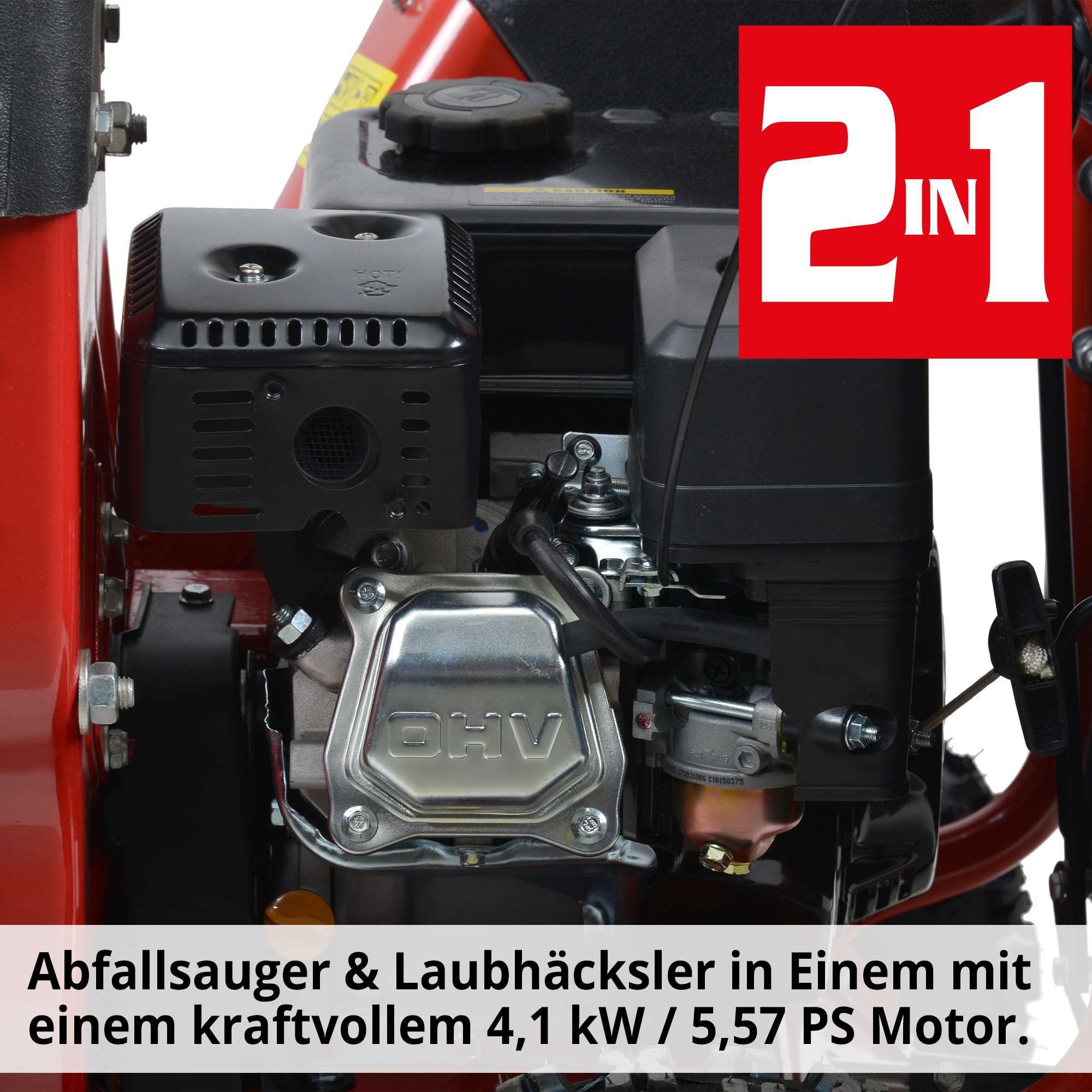 1825-galeriebild_1