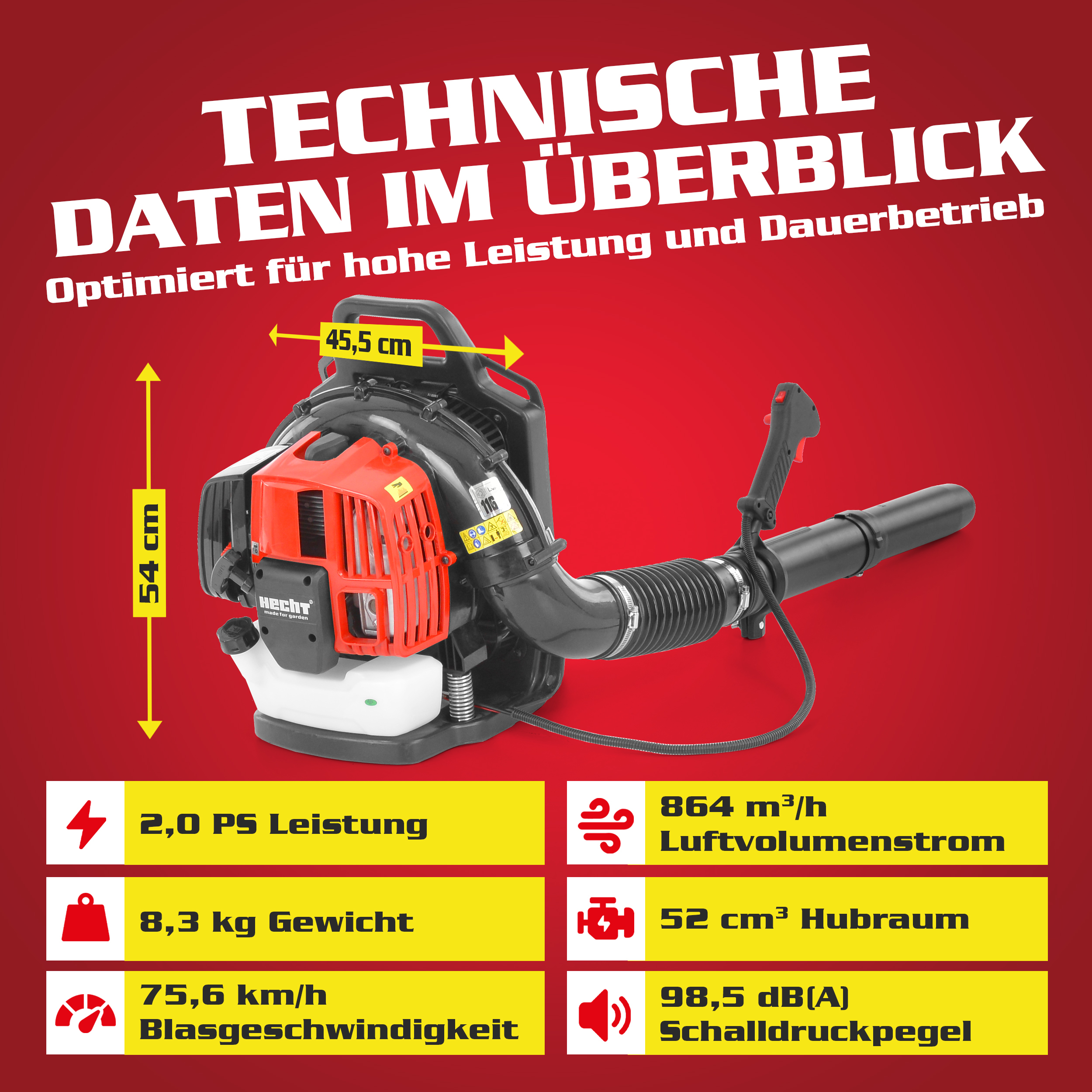 Blasgerät HECHT 952 für leistungsstarke Reinigung von Wegen und Flächen
