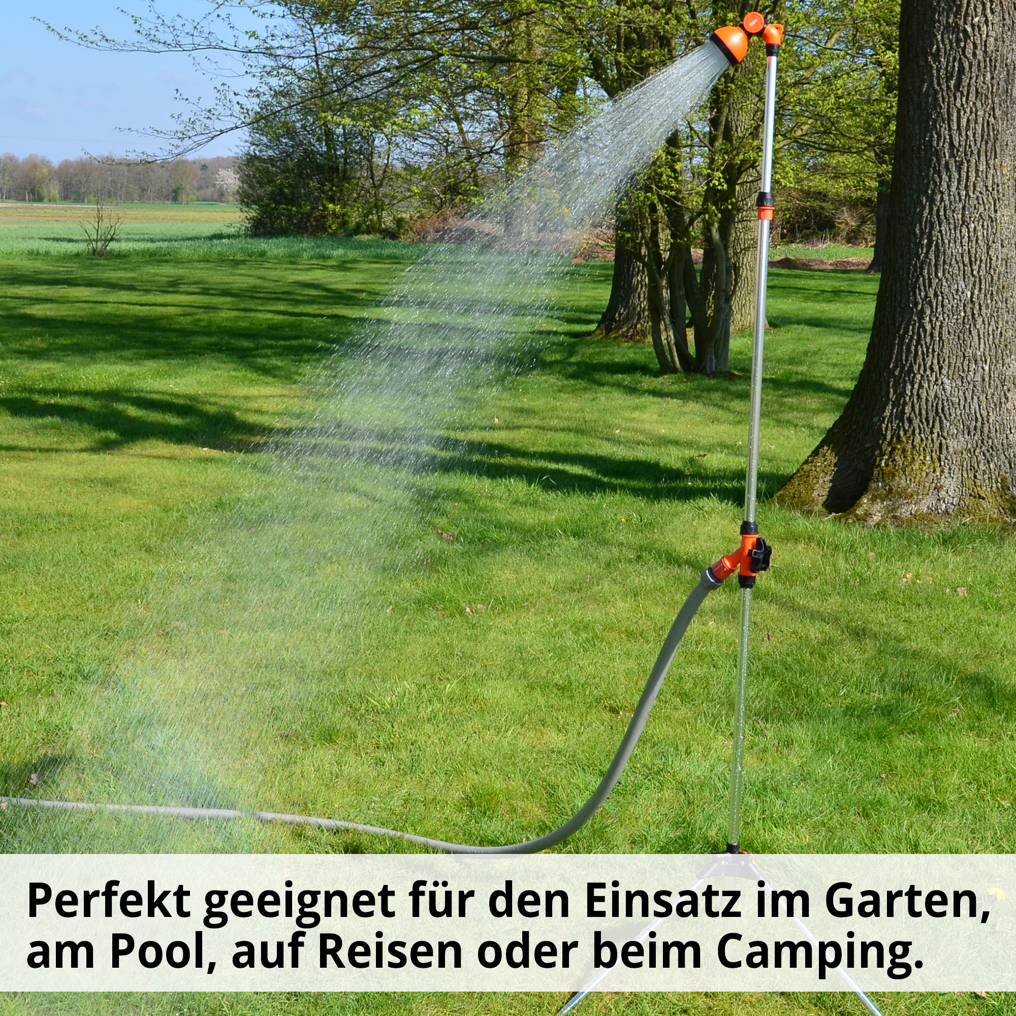 2466-galeriebild_9 2466-galeriebild_9