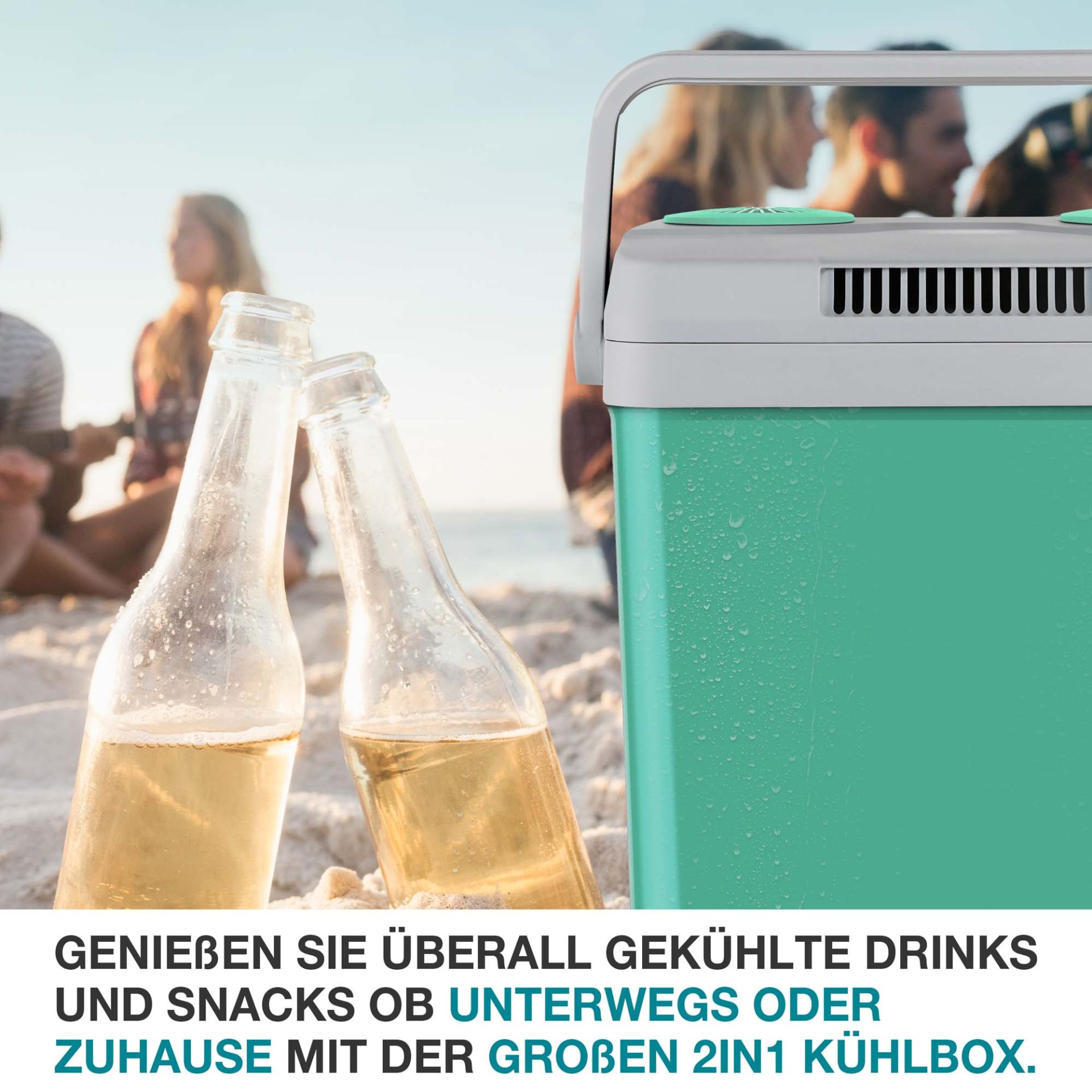 TOM Kühlbox CB-250; praktisch zum Mitnehmen