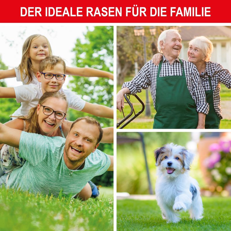 Rasensamen für Familien – ideal für Kinder, Senioren und Haustiere im Gartenalltag