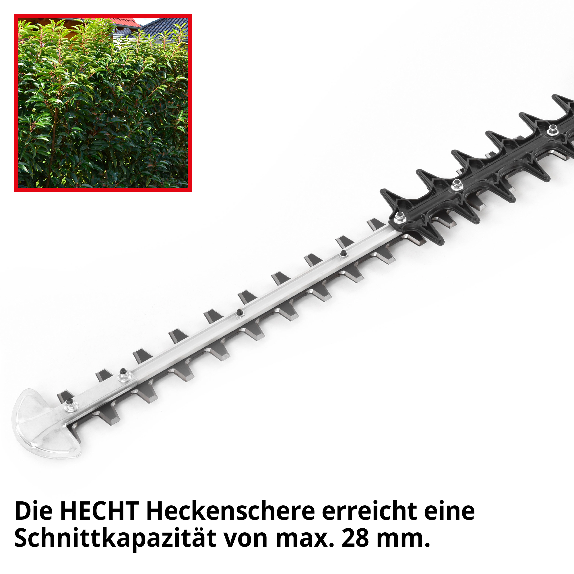 558-galeriebild_9