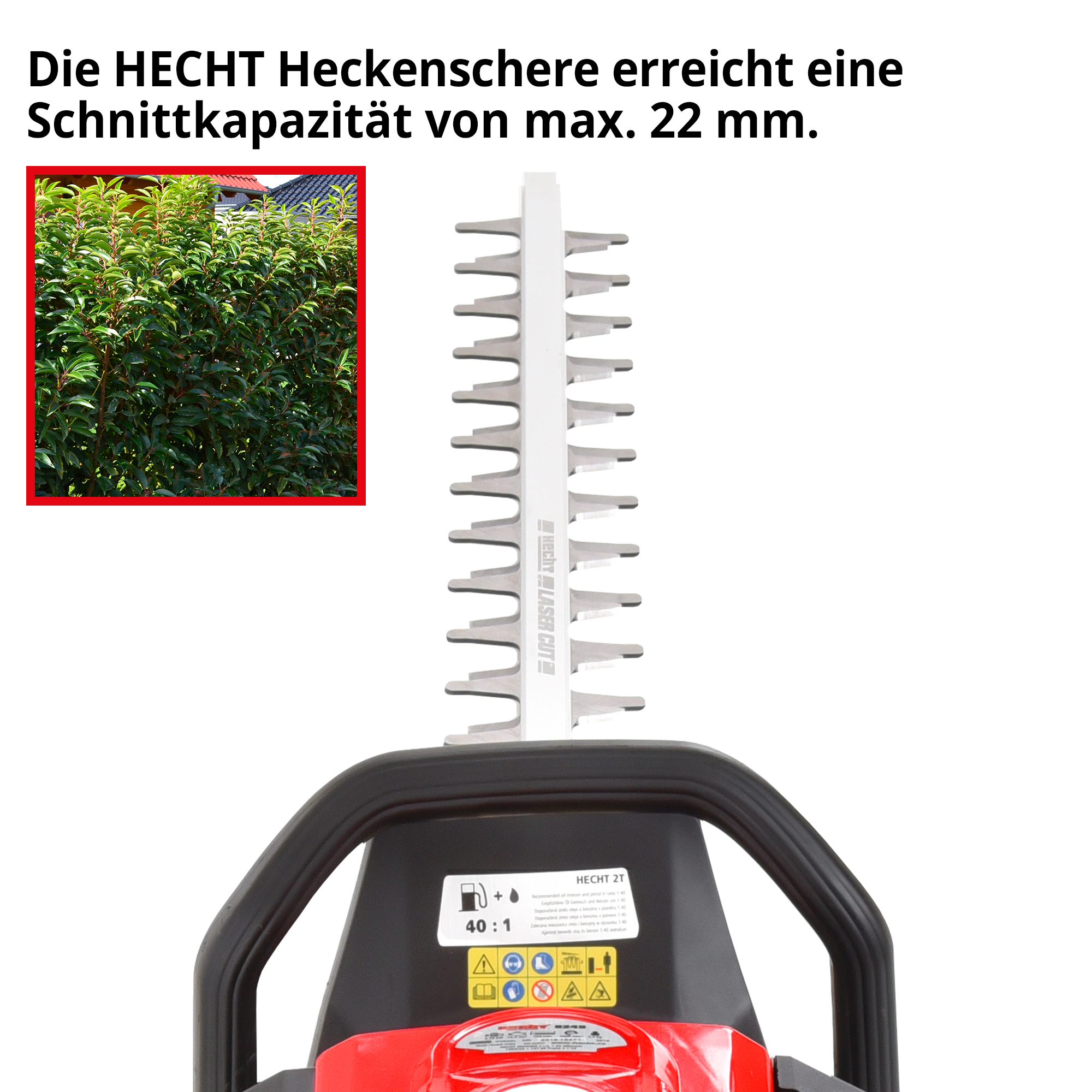 2543-galeriebild_9