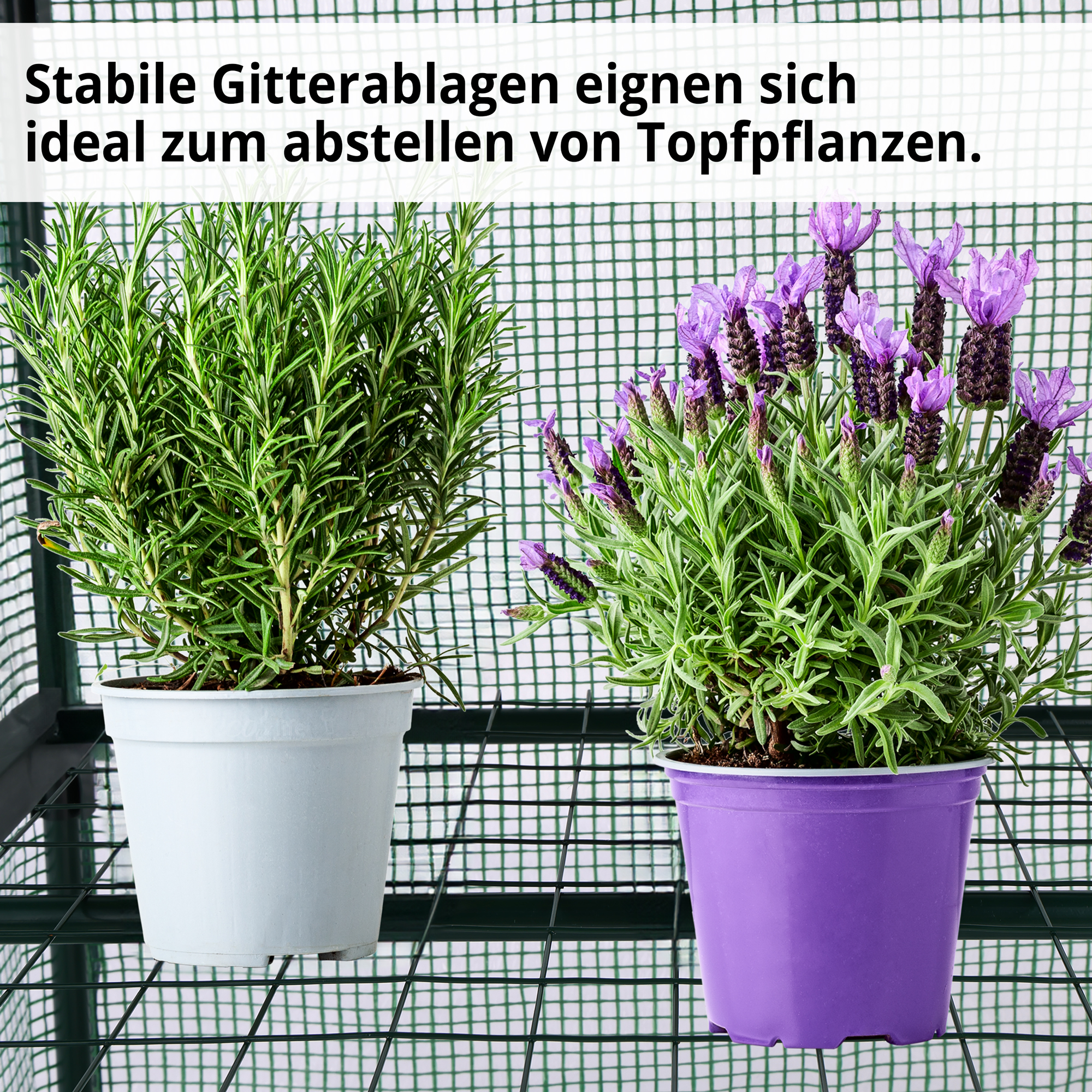 Hecht Tilt II Foliengewächshaus; Stabile Gitterablage eignen sich ideal zum abstellen von Topfpflanzen