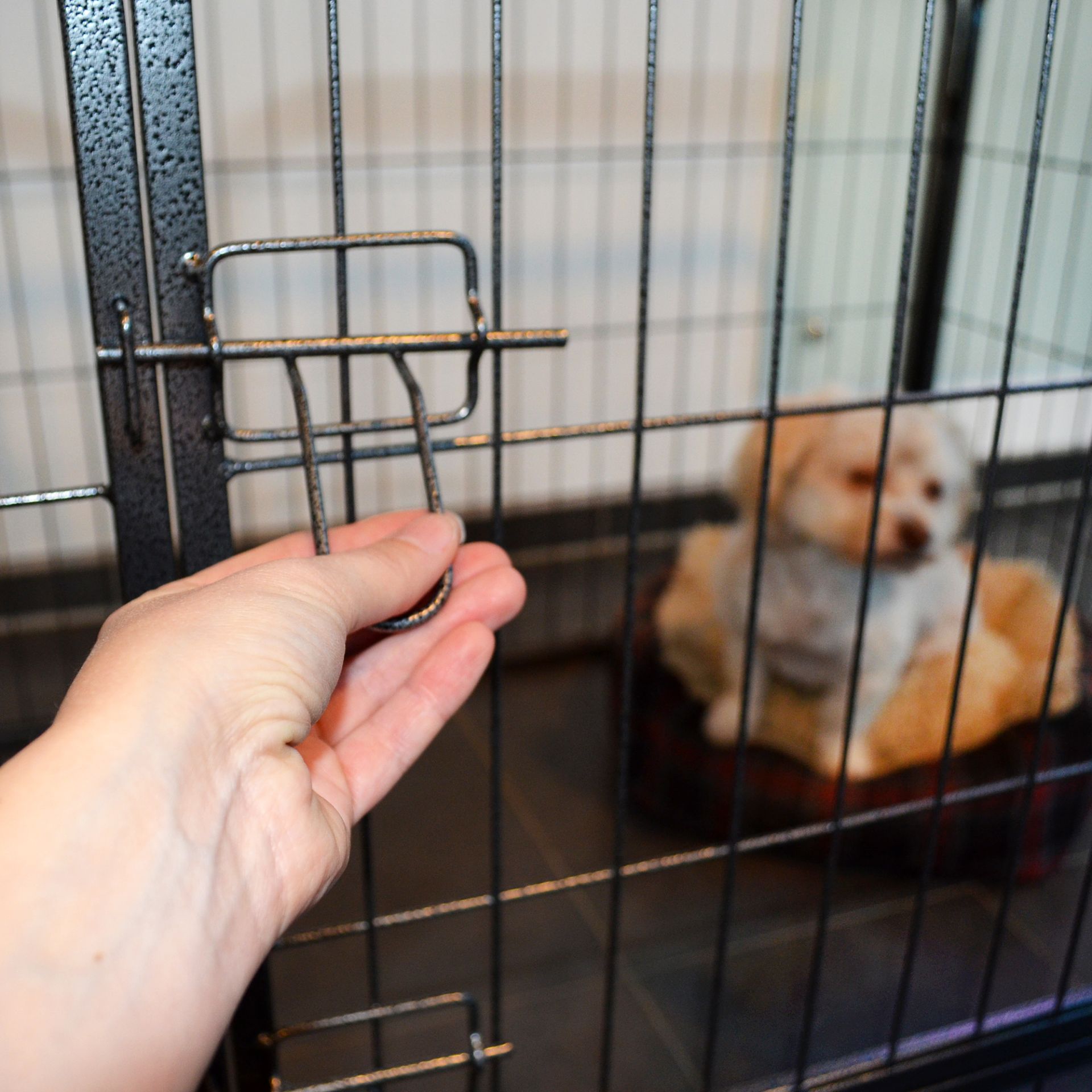 Zooprinz Welpenauslauf S Doppeltes Türschloss