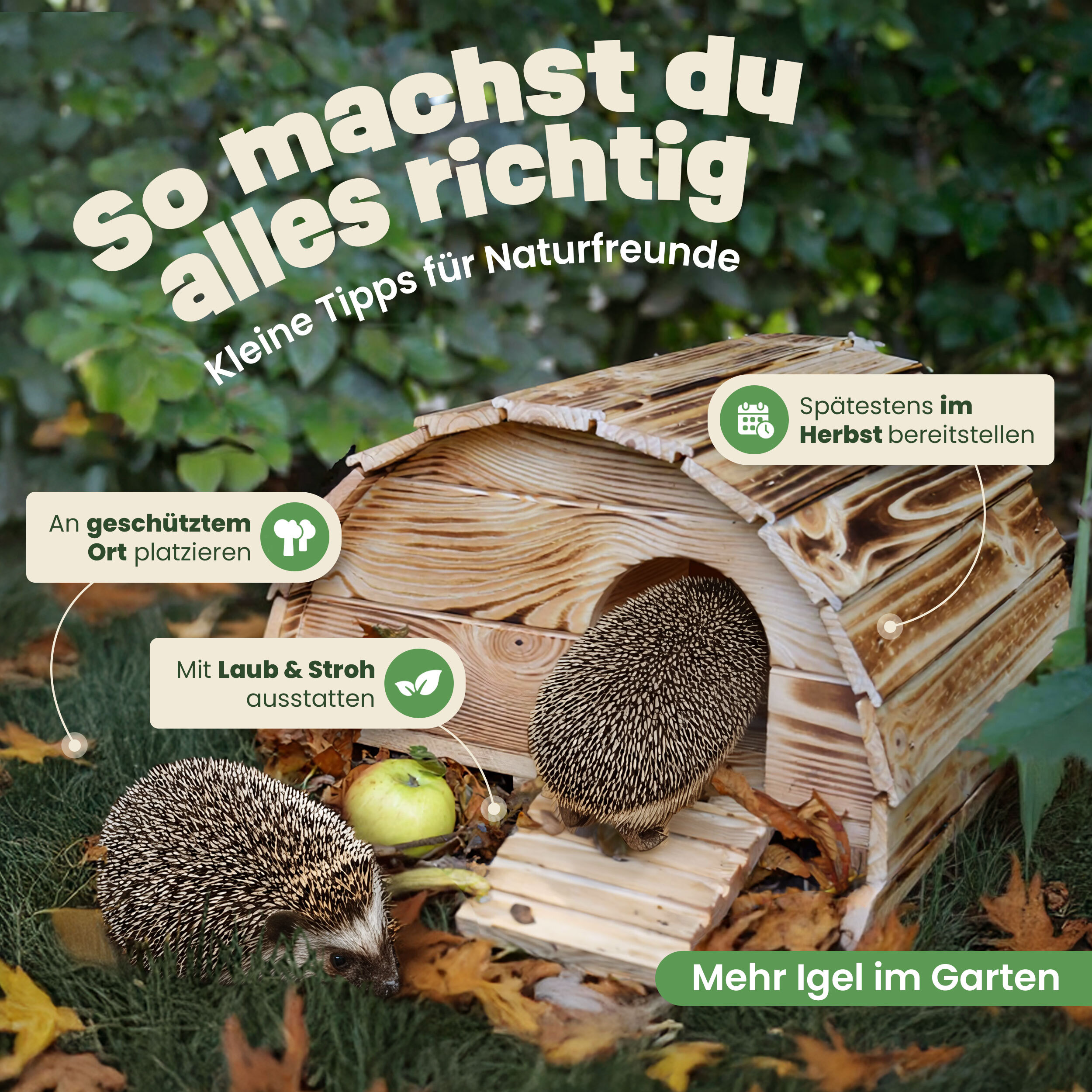Natur Igelhaus für den Garten, schützt vor Kälte, Feuchtigkeit und Räubern