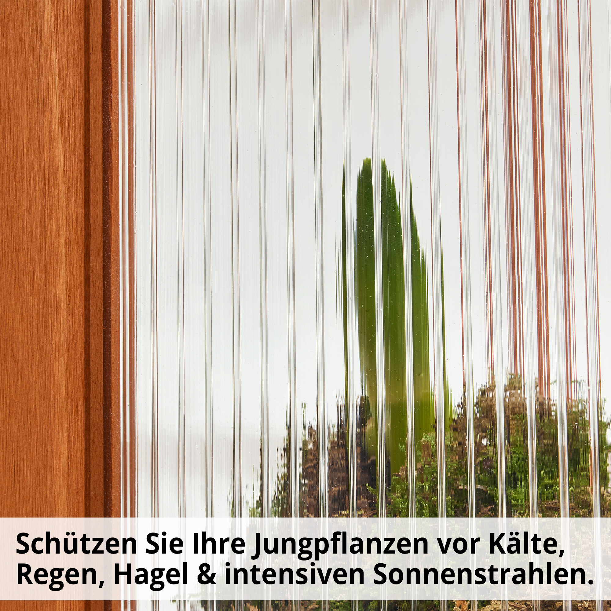 HECHT Holzrahmen Frühbeet Herba für sicheres Wachstum im Garten