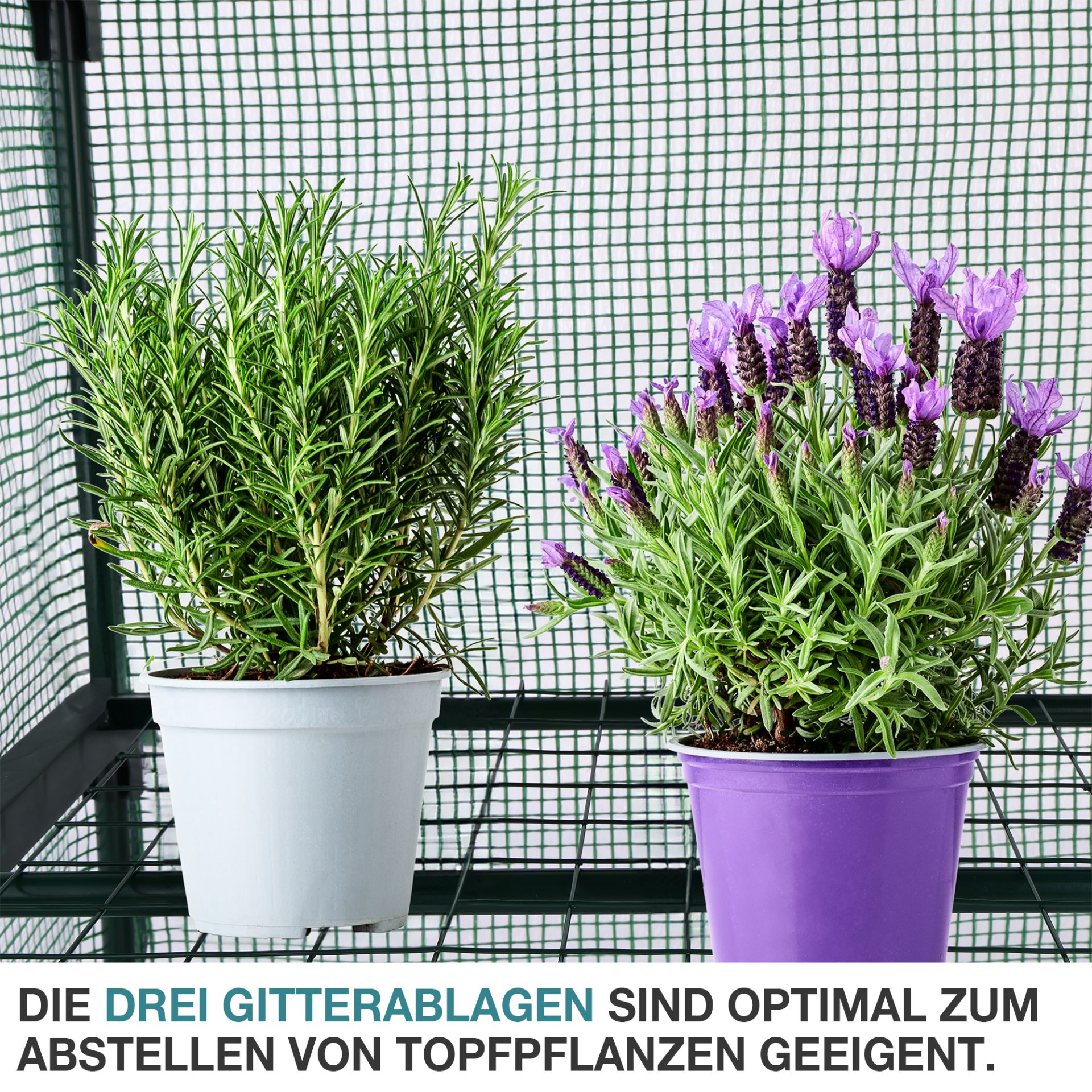 TOM Anzucht Gewächshaus GH-33; Drei Gitterablagen