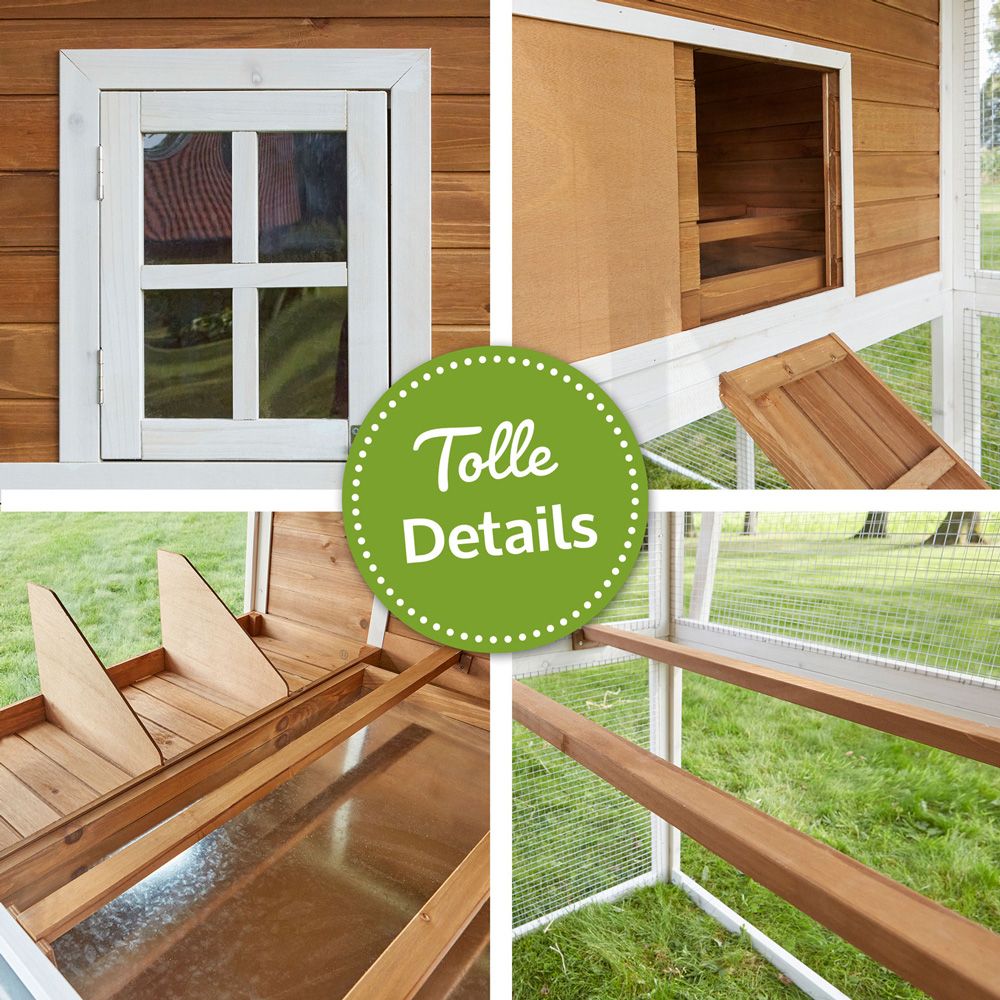Hühnervoliere Alpenhof; Details wie Rampe und Fester Hühnervoliere Alpenhof; Details wie Rampe und Fester