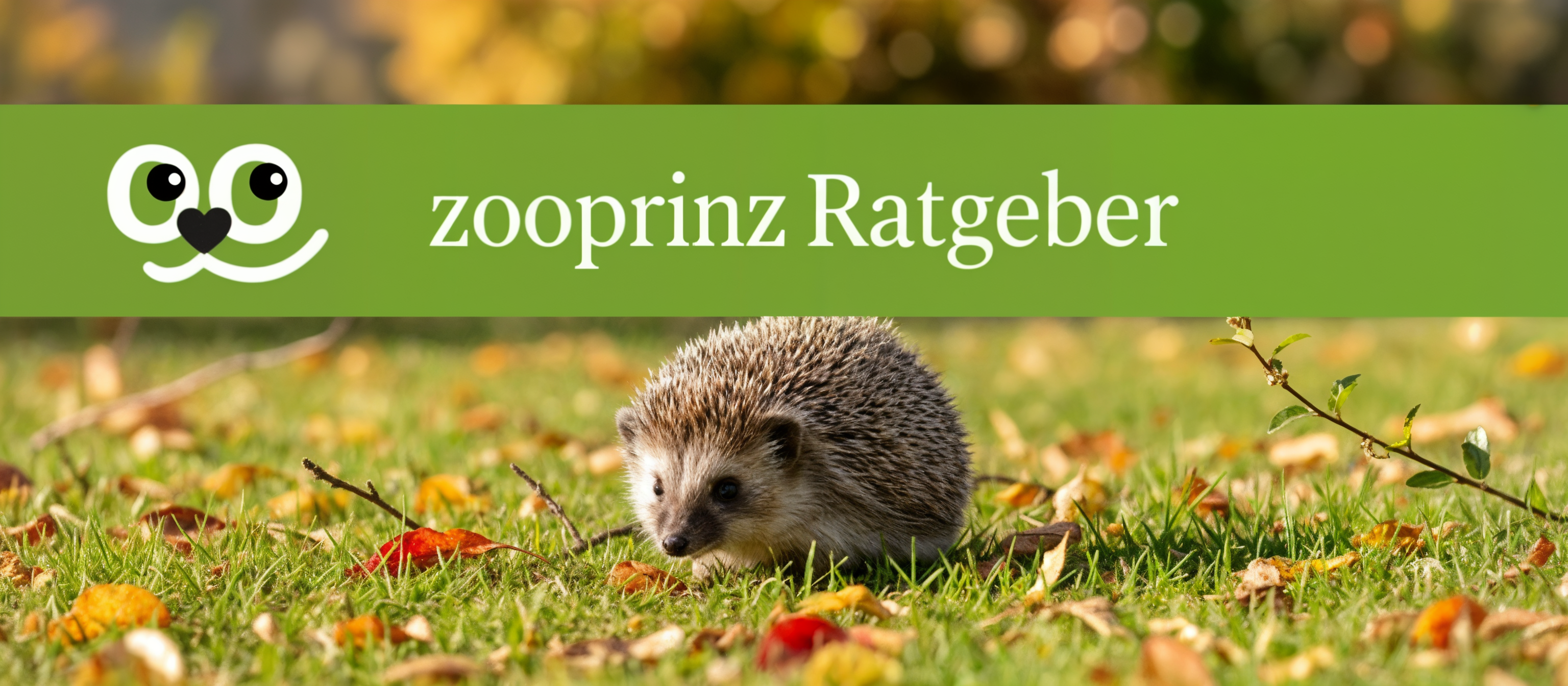 Igel Ratgeber mit Igelbanner