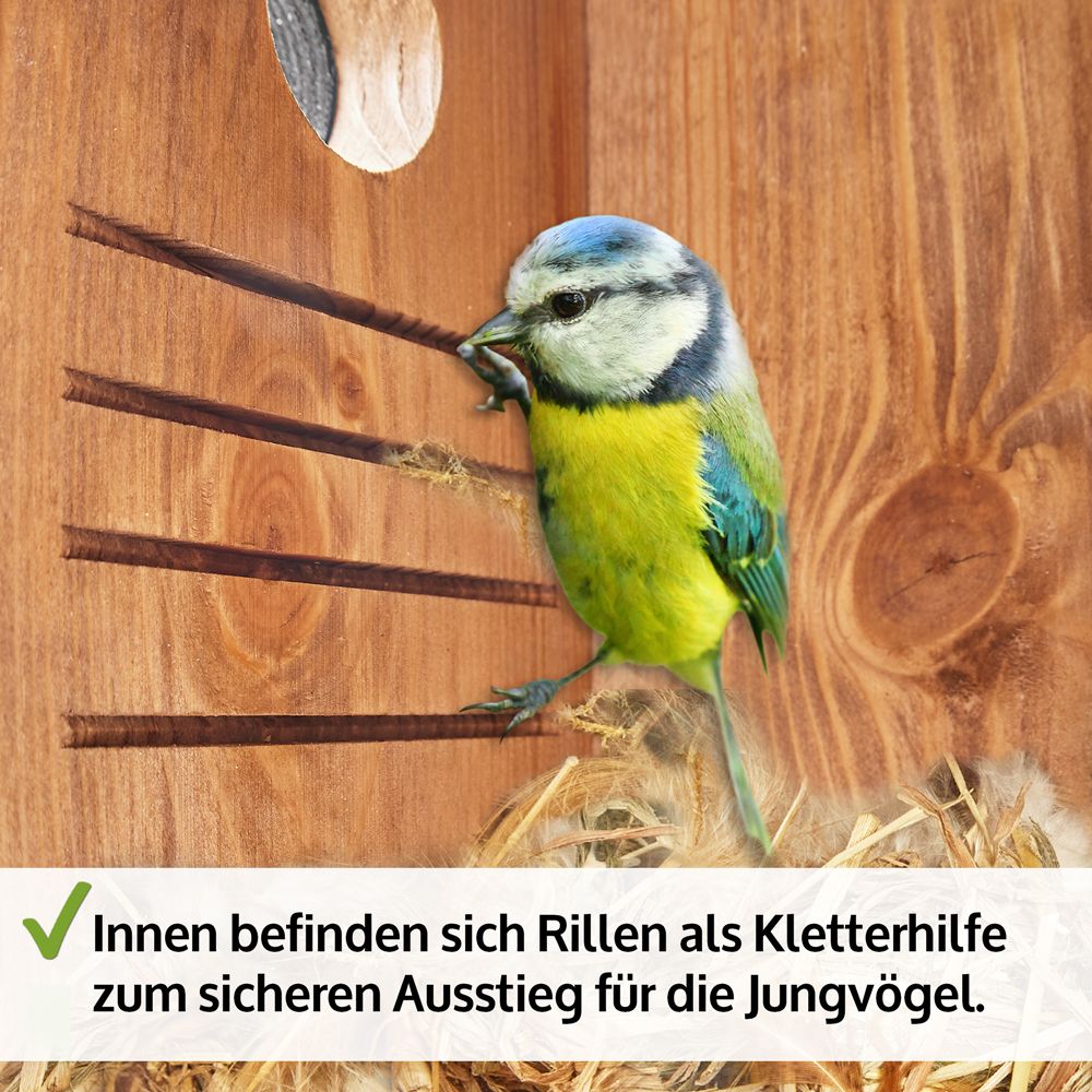 Nistkasten; Details wie der Räuberschutz