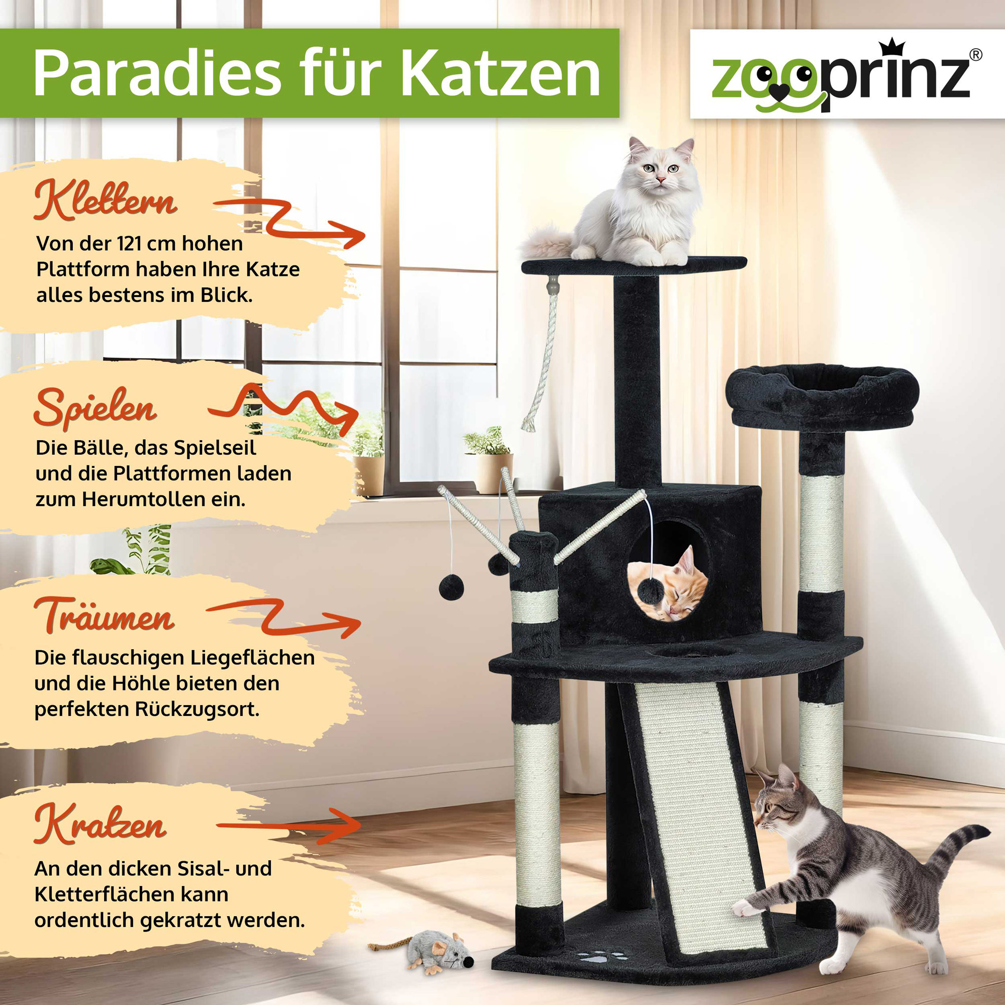 Katzenbaum Lola; Klettern, Spielen, Träumen und Kratzen